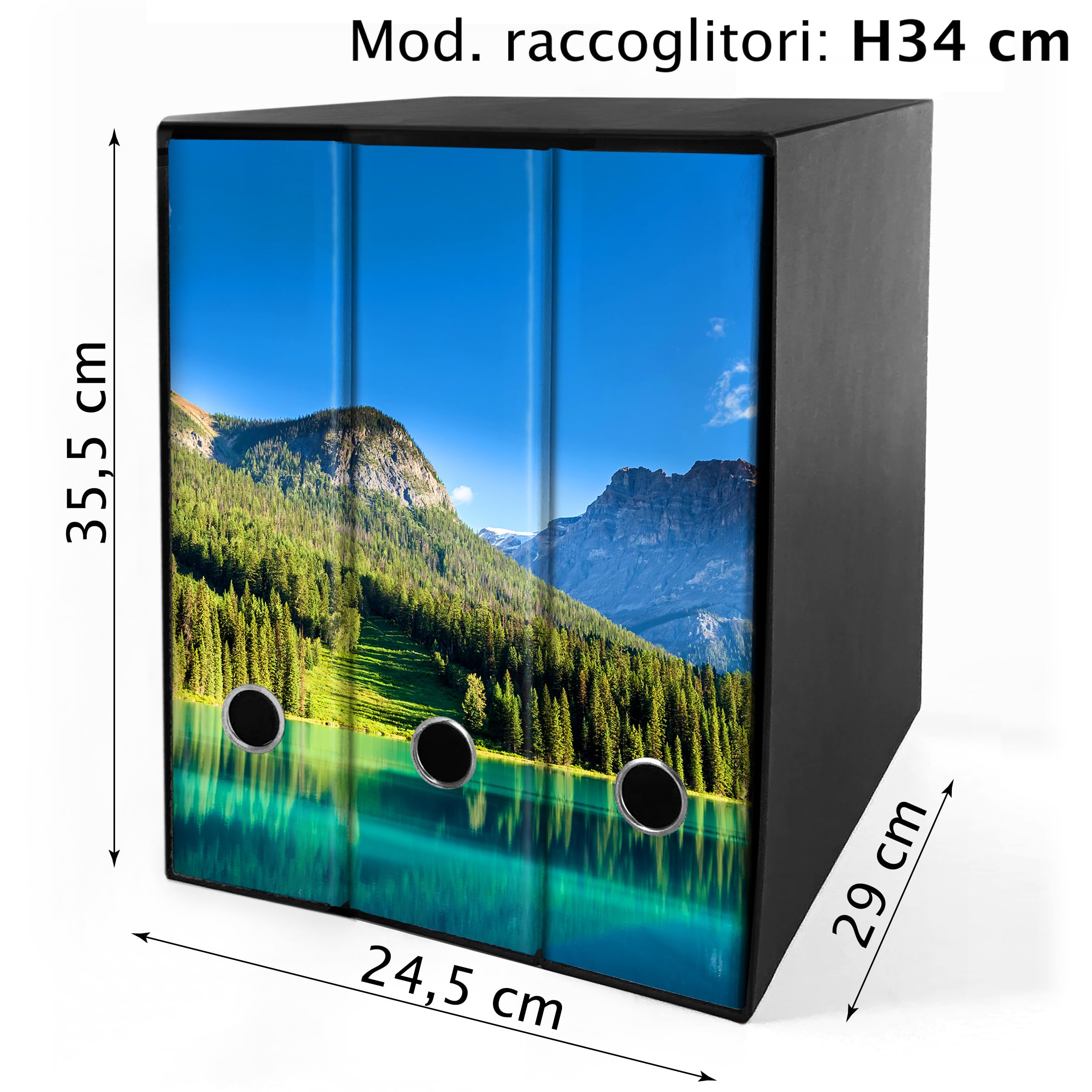 Set 4 Raccoglitori Ad Anelli BARCA ALBA - Altezza 34 Cm, Per Fogli A4 E Buste Trasparenti