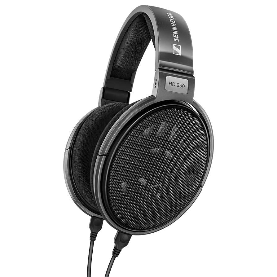 Sennheiser Consumer Audio HD 650 Open Back Audiophile Headphones