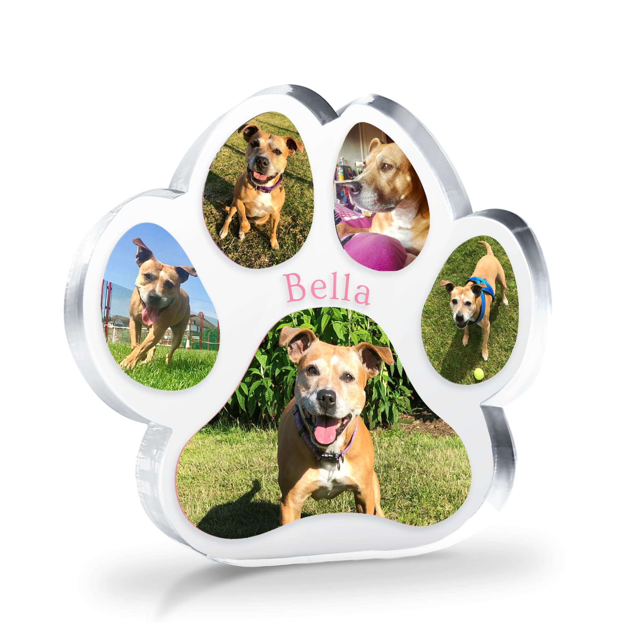Primary Teaching Services Ltd Transparent 1 Personalised Customised Multi Photo Upload Acrylic Freestanding Photo Pawprint Pet Dog Cat Paw Block Or Coaster As Gift Present Christmas Memorial Birthday 100Mm X 100Mm Primary Teaching Services