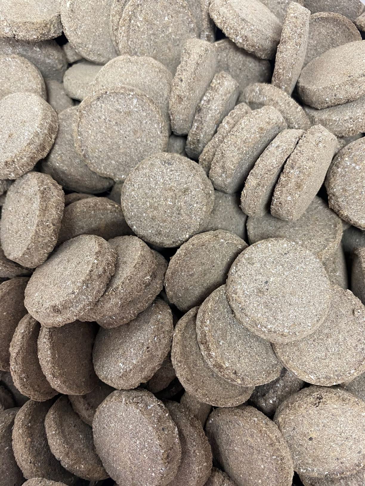 Mikoryze pigułki ukorzeniające. 300 tabletek, Grzyb Ascophyllum nodosum Mikoryza i trichodermas plantacji. Mycoshell