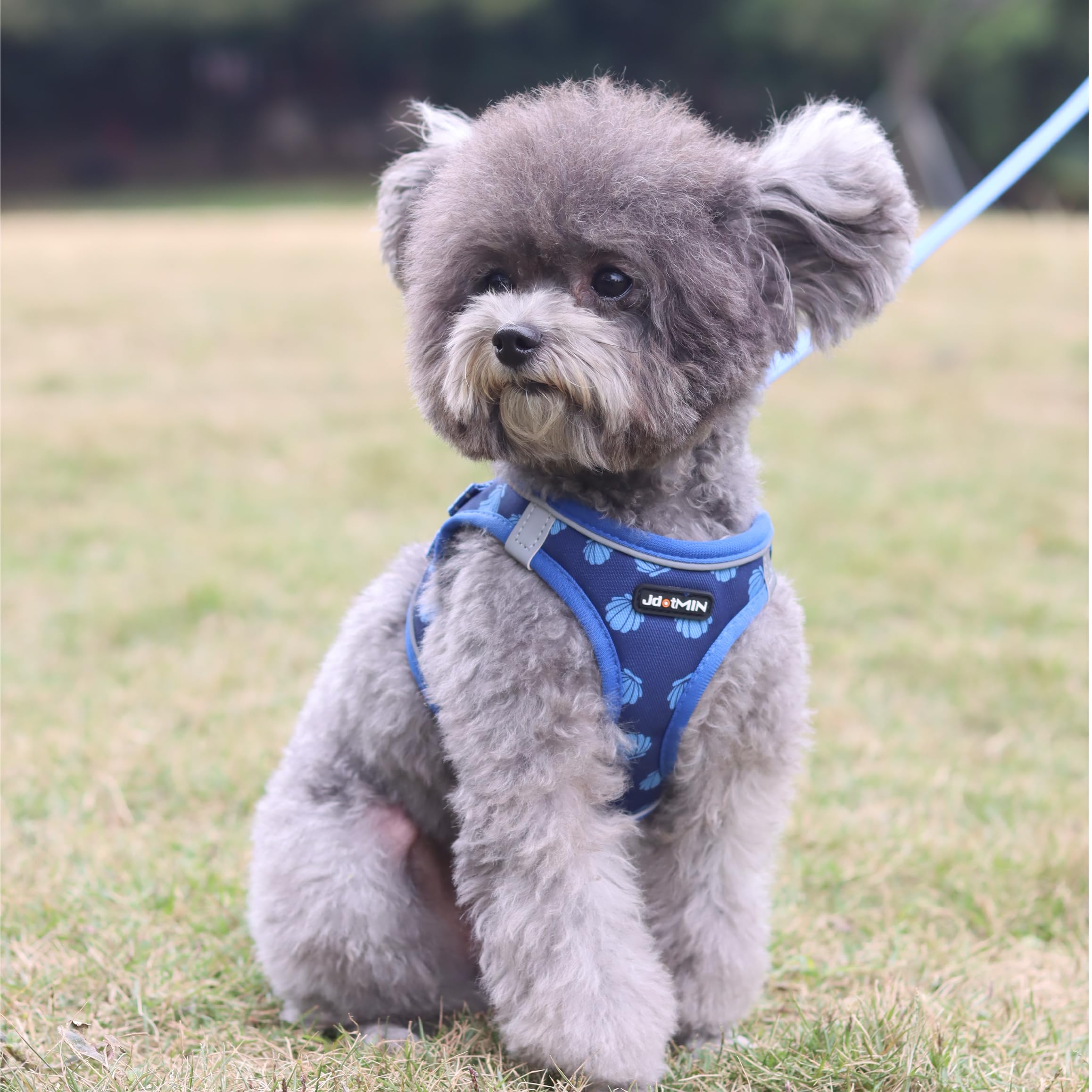 JdotMIN Plaid Dog Harness and Leash Set, Extra-Small/Small to Medium Dog and Cat Vest Harness No Pull, Escape Proof - Image 2