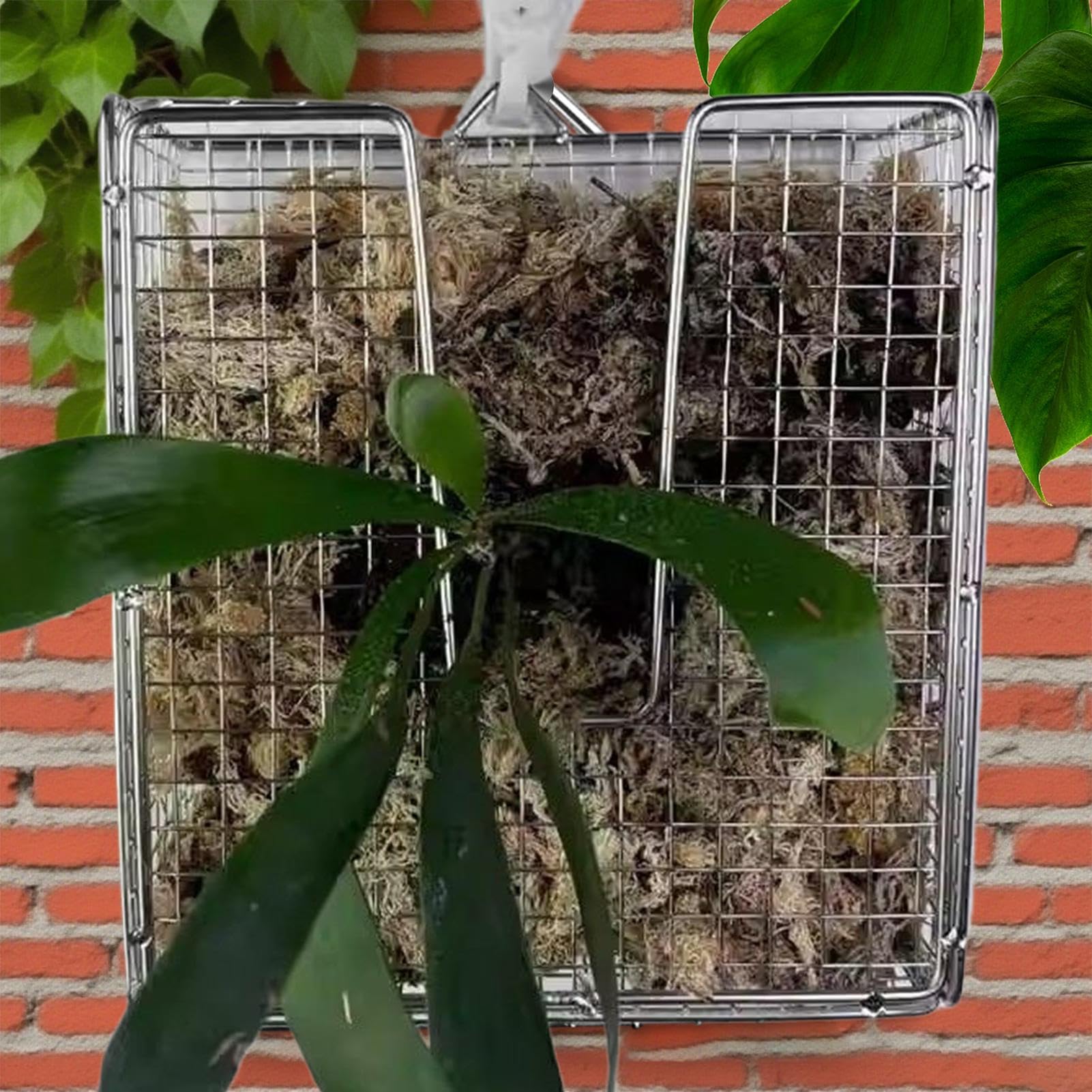 View 9