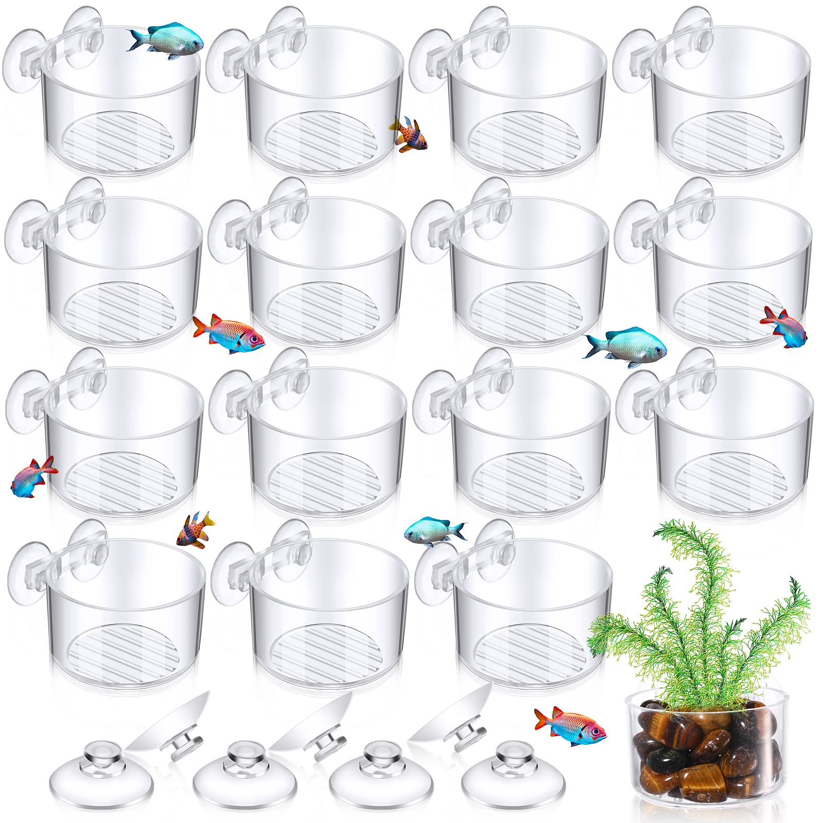 Amazon Com 16 個水生花盆杯帶孔植物架水族箱附32 個吸盤壓克力水生植物花盆水族箱裝飾適用於水族館岩石蝦魚活植物圓形透明 Amazon Com 16 個水生花盆杯帶孔植物架水族箱附32 個吸盤壓克力水生植物花盆水族箱裝飾適用於水族館岩石蝦魚活植物圓形透明