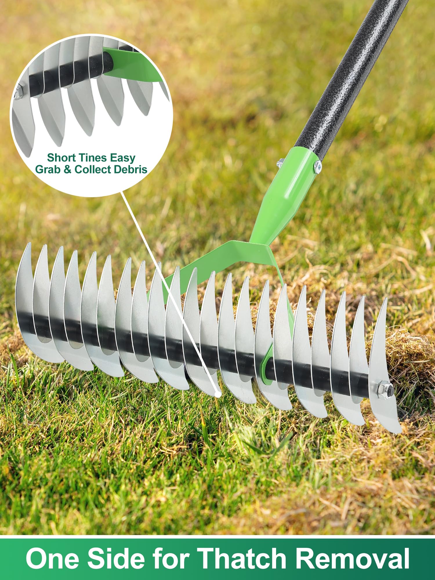 Snapklik.com : Thatch Rake, 2-in-1 Garden Dethatcher Rakes For Lawns ...