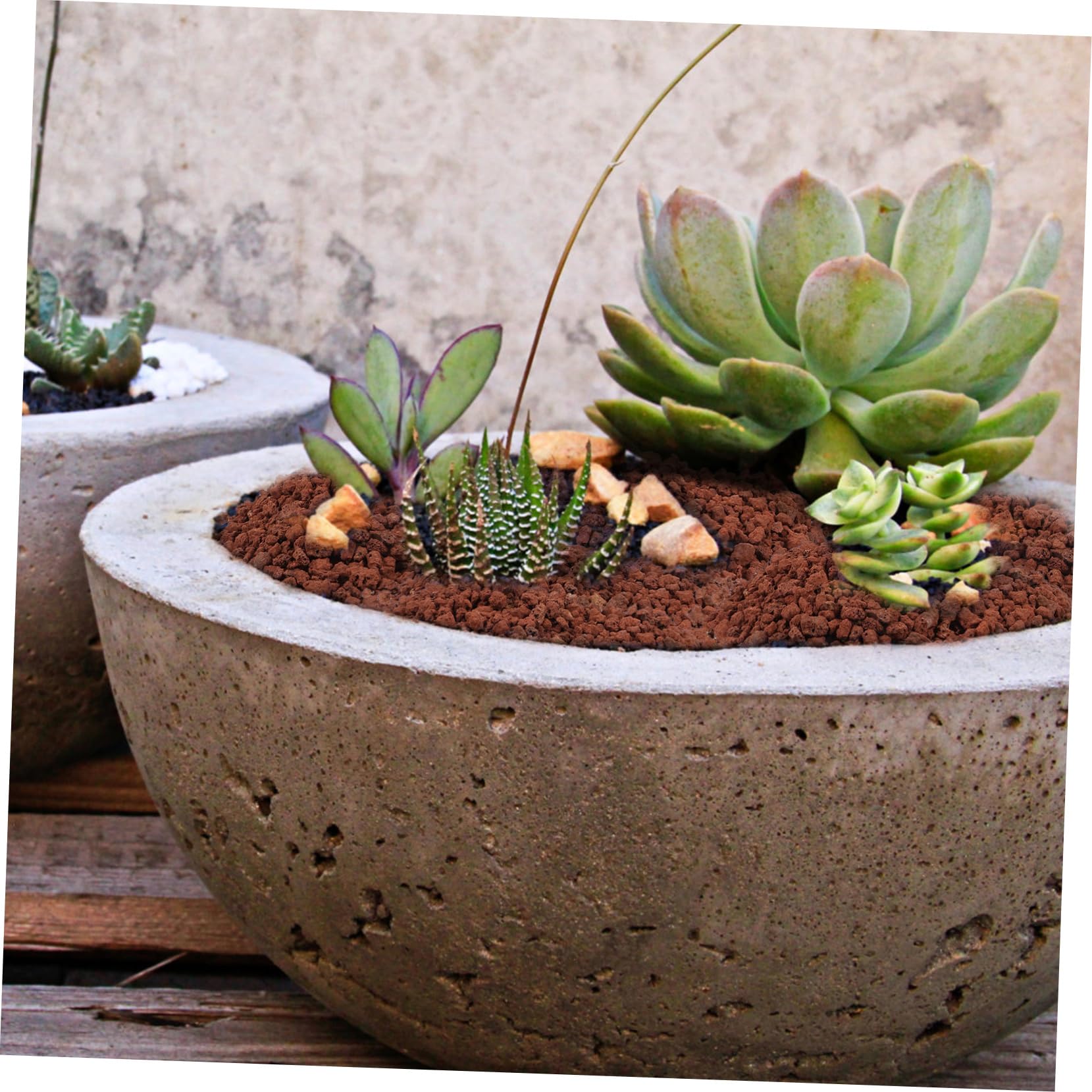 TOYANDONA 5Sacs Volcaniques pour Décoration Aquarium Aménagement Paysager pour Plantes Terrarium
