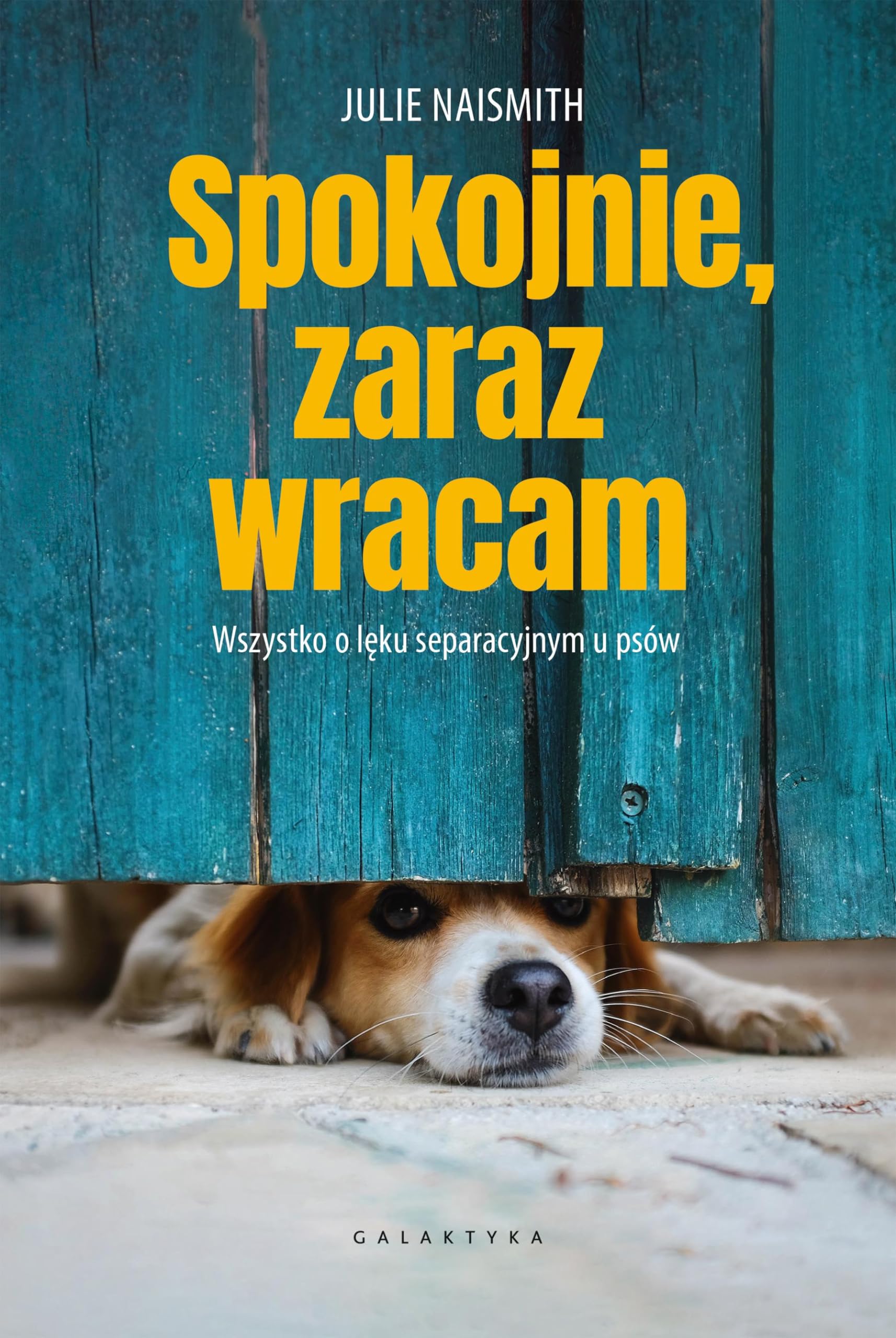 SPOKOJNIE, ZARAZ WRACAM: Wszystko o lęku separacyjnym u psów