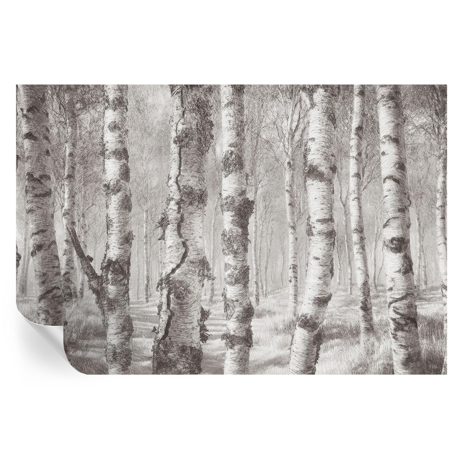 Papel pintado bosque de abedules 104x70 cm vinilo autoadhesivo para pared