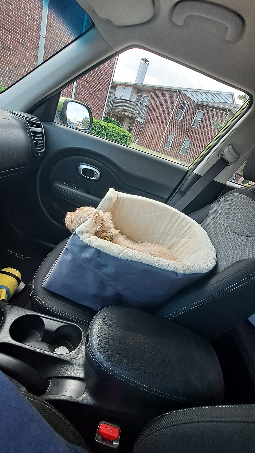 11/mo Finance Amazon Basics Pet Car Booster Bucket Seat Buy Now