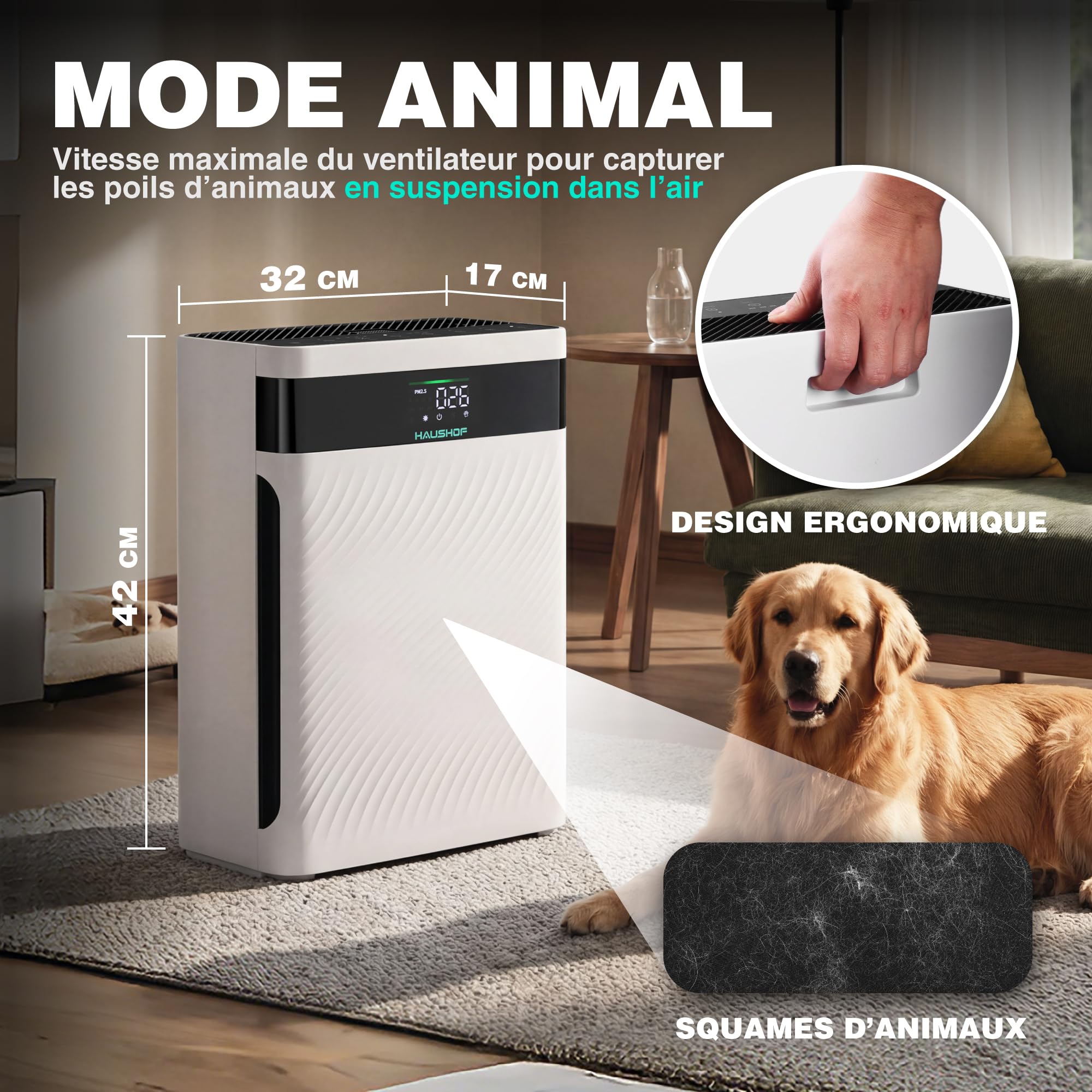 HAUSHOF Purificateur d’Air HEPA H13 CADR 250 m³/h