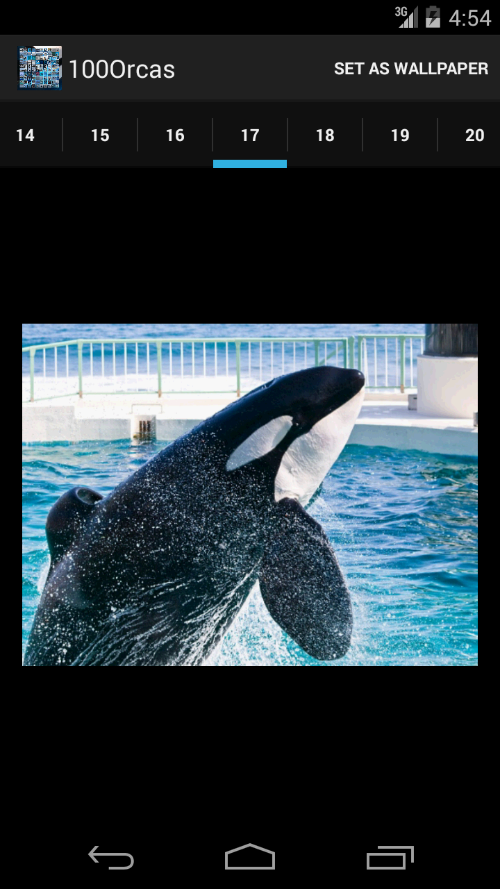 Orca Wallpaper App:Amazon.com.br:Appstore for Android