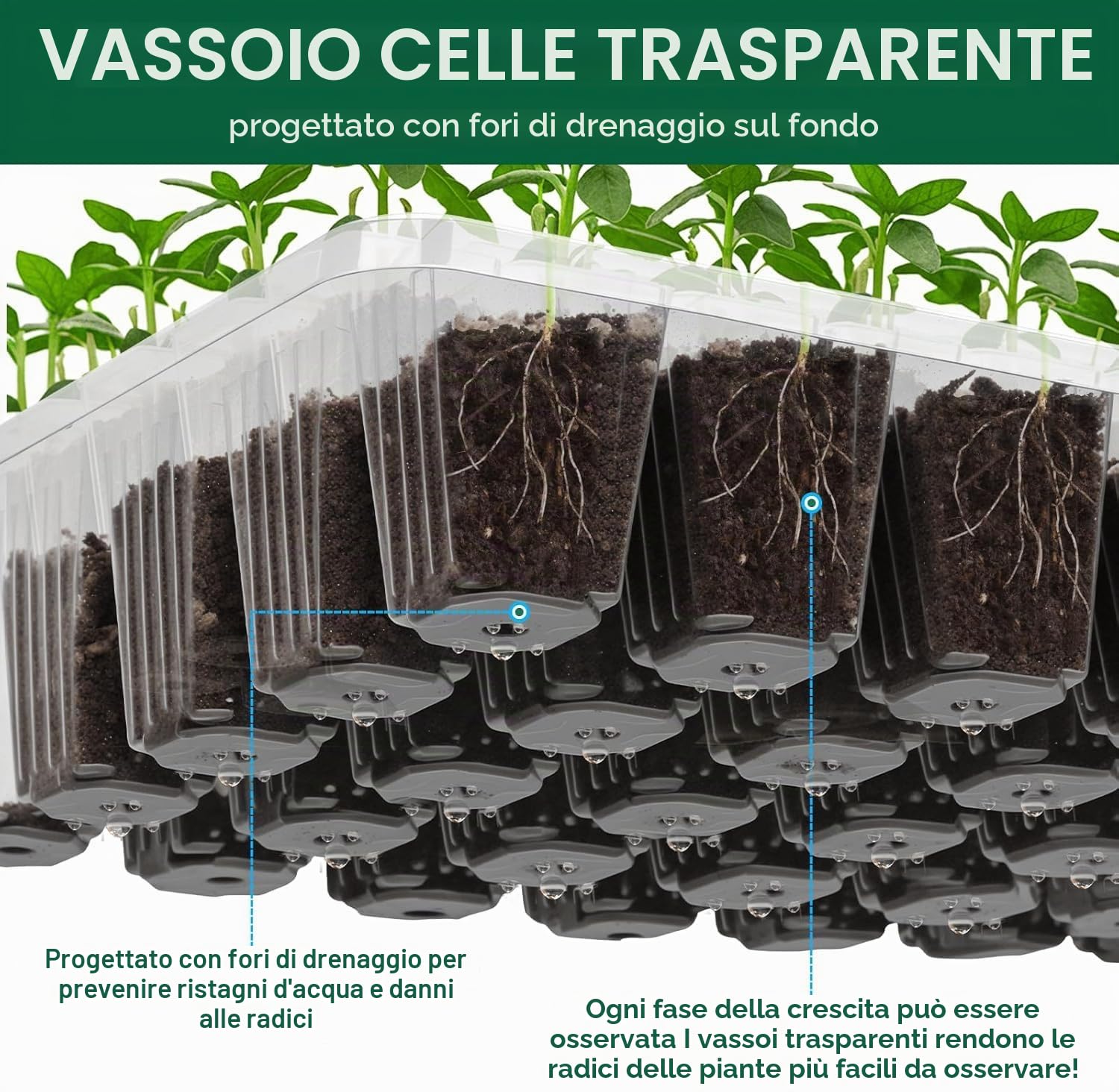 LATERN 4 Pezzi Vassoi per Piantine, 24 Celle Vassoio per Vivaio in Plastica Propagatore di Semi di Fiori con Sfiato Regolabile per Serra Giardino Casa Piantina (con 20 Etichette, 2 Attrezzi)