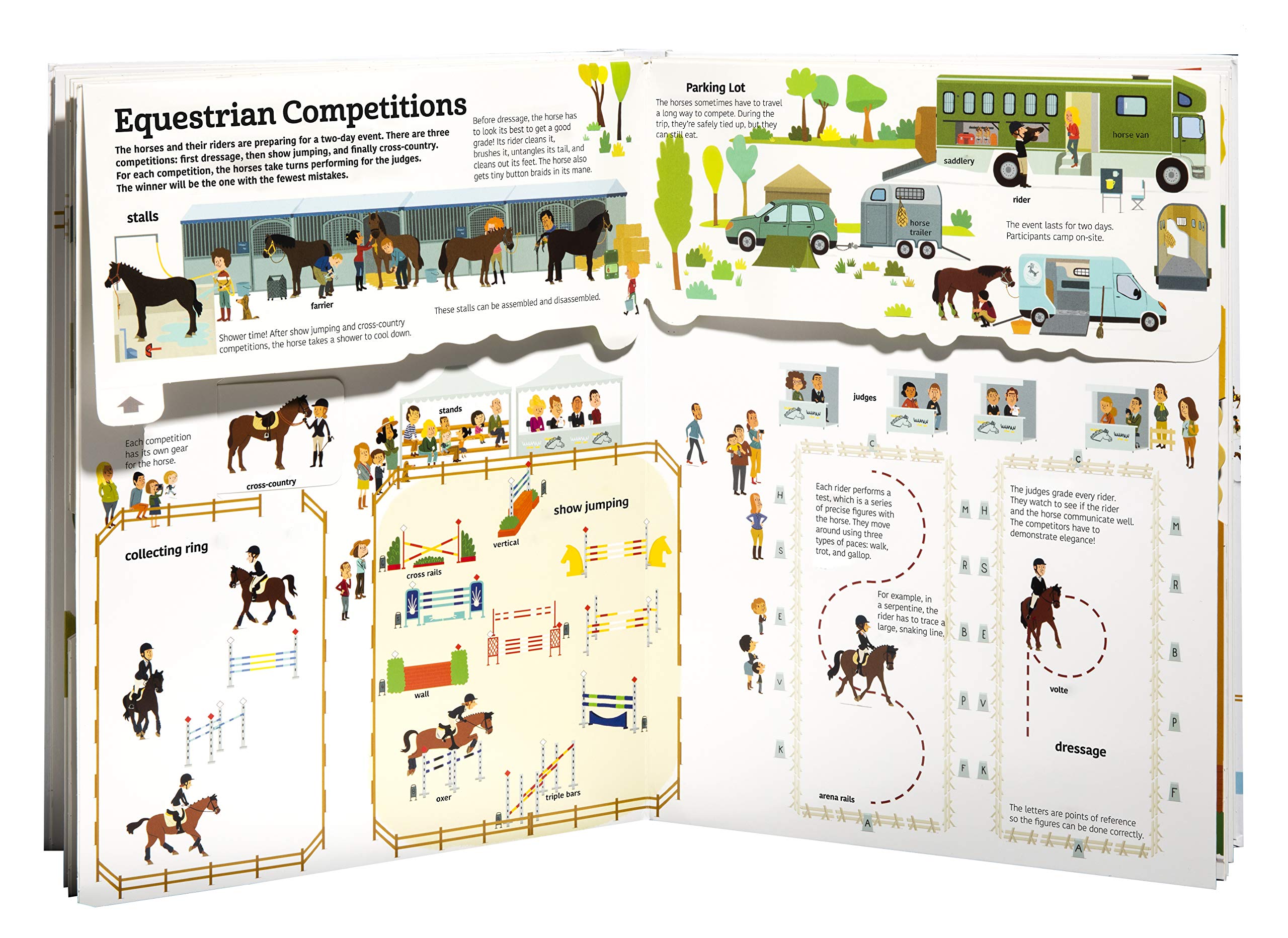 The Ultimate Book of Horses - Image 4