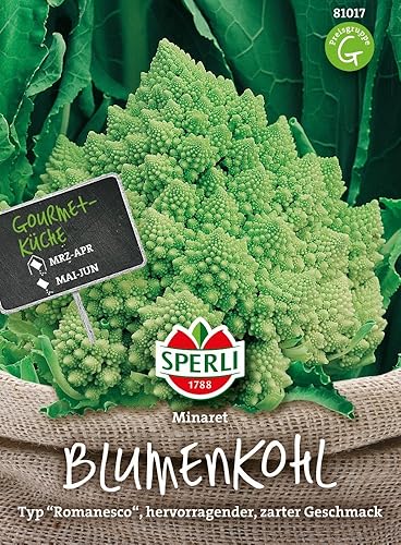 Blumenkohl Minaret Romanesco-Typ