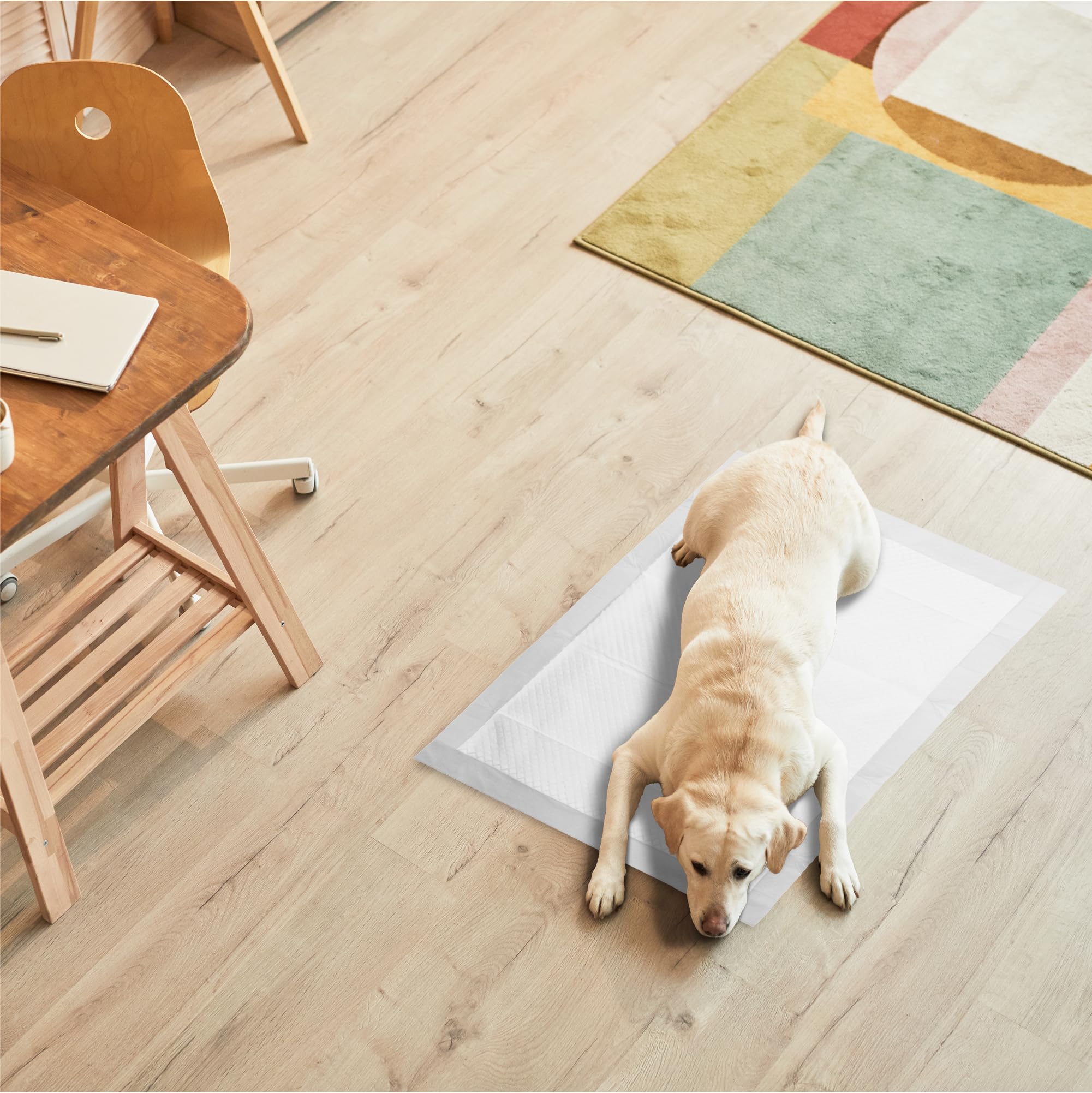 RMOVE 120 podkładów dla psów 60 x 90 cm, bardzo chłonne maty do toalety dla psów, podkłady z powłoką przeciwzapachową, podkłady dla psów, wodoodporne maty podkładowe (60 x 90 cm (120 szt.)