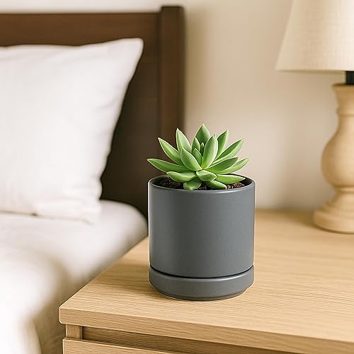 Miniatura 7 de D'vine Dev Juego de 4 macetas pequeñas de cerámica, maceta para suculentas de 3.5 pulgadas para plantas con orificio de drenaje y platillo, gris,