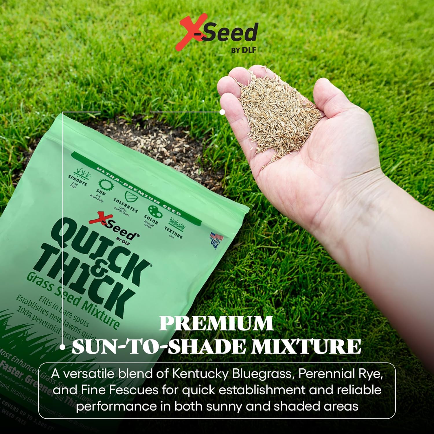 X-Seed Ultra Premium Quick and Thick Lawn Seed Mixture – Rapid Germination for Any Lawn, Dense Coverage in Sun to Shade, High-Traffic Areas, Fescue, Kentucky Blue, & Perennial Ryegrass Blend, 3lb Bag