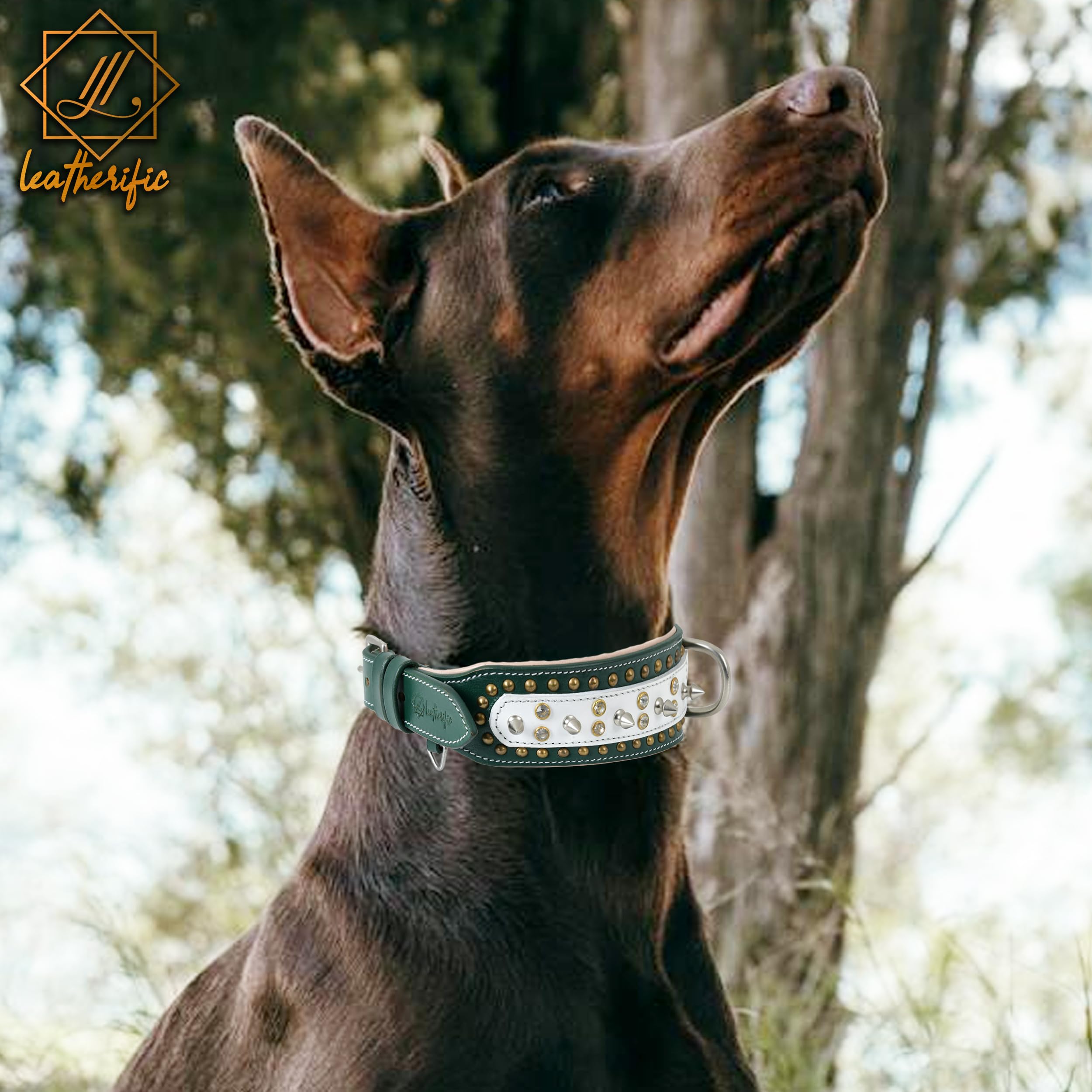 Leatherify - Collar de cuero genuino para perro, de alta calidad, resistente, acolchado, fuerte, con picos atornillados, razas medianas, grandes, extragrandes, 2 pulgadas de ancho (color verde bosque