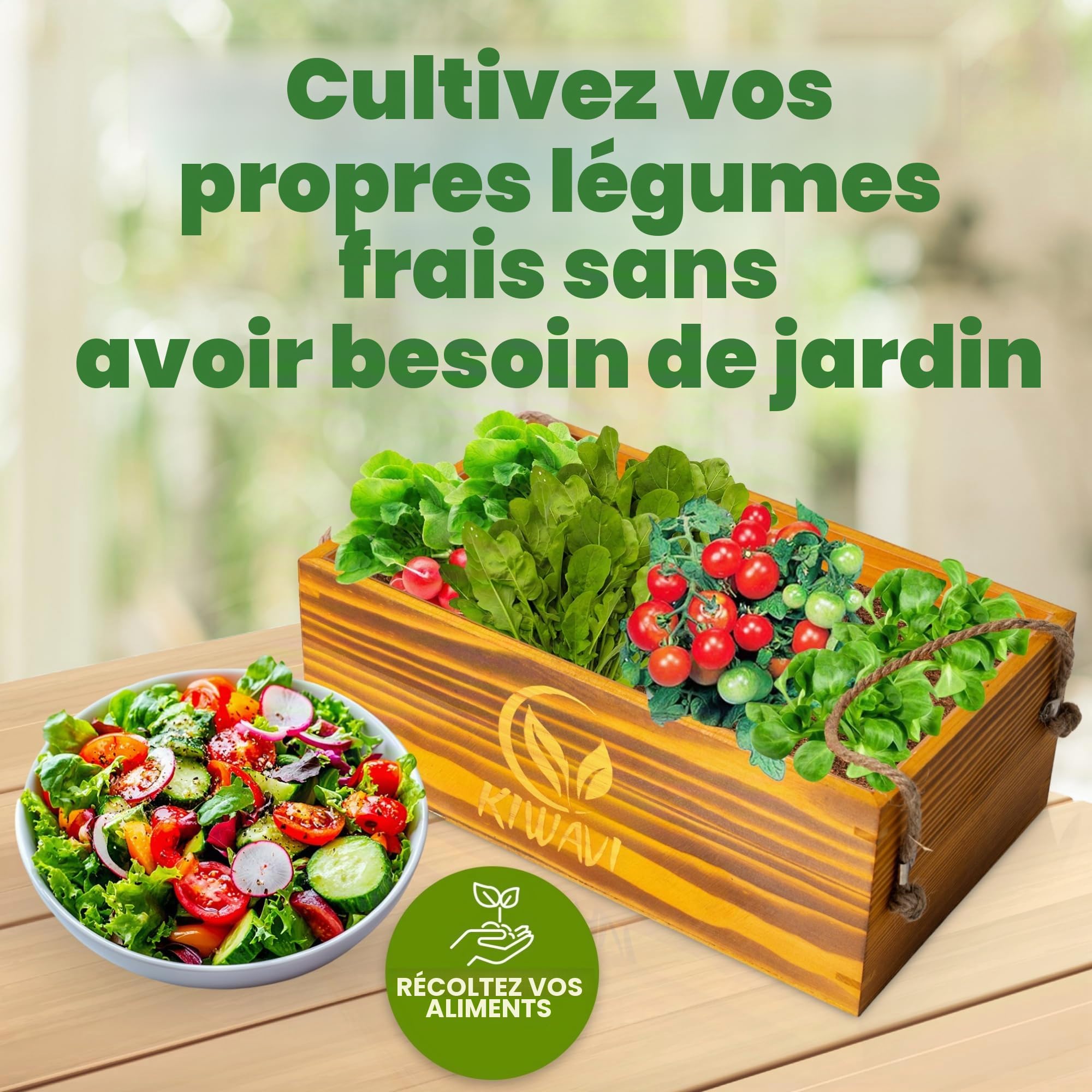 Mini potager urbain intérieur et extérieur - Kit complet de culture à la maison - Graines de tomates cerises, roquettes, chanoines et radis - Facile à utiliser