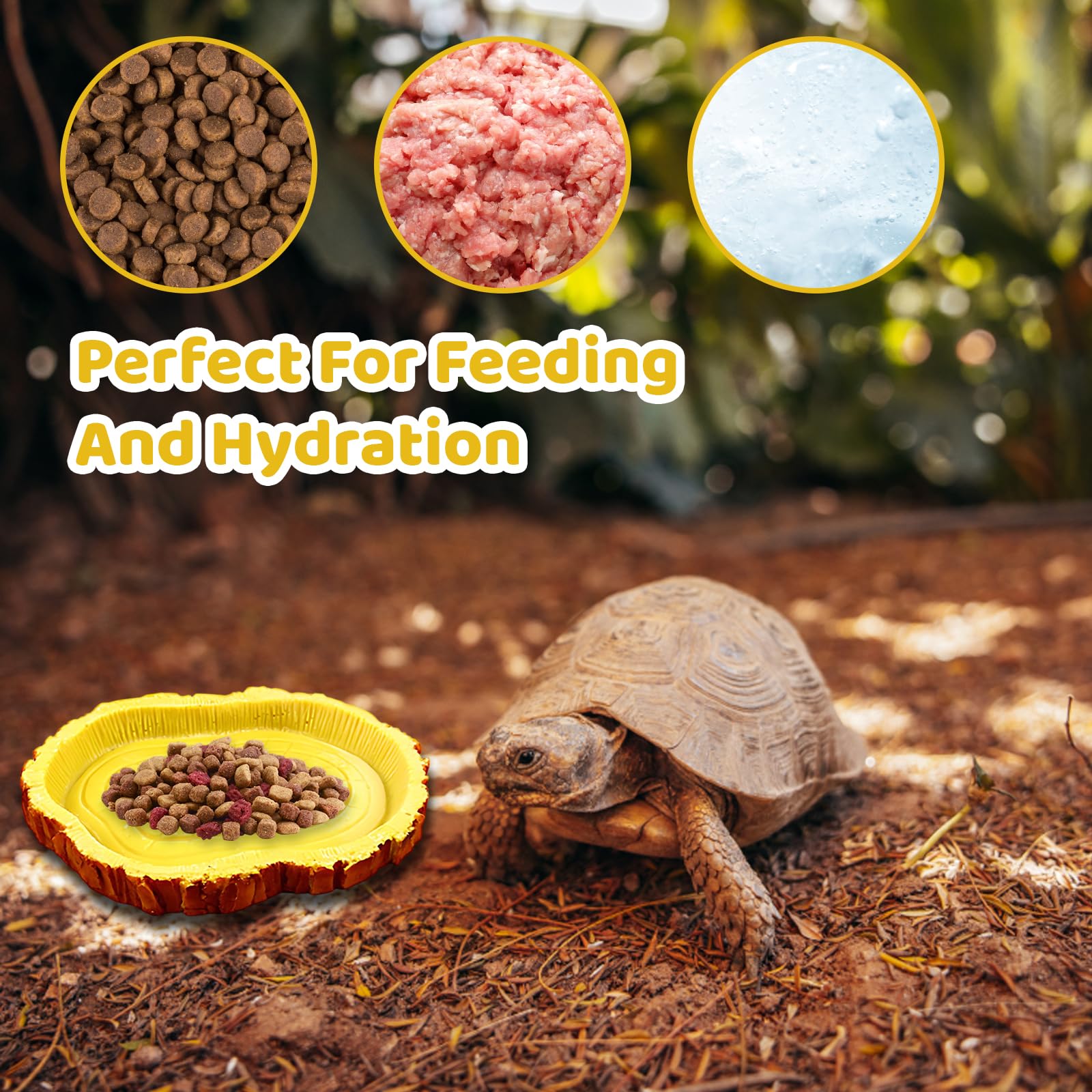 EujRcf 2PCS Tortoise Accessories, Tortoise Water Bowl Set, Small Reptile Water Dish with Yellow Wood Grain Design - Image 4
