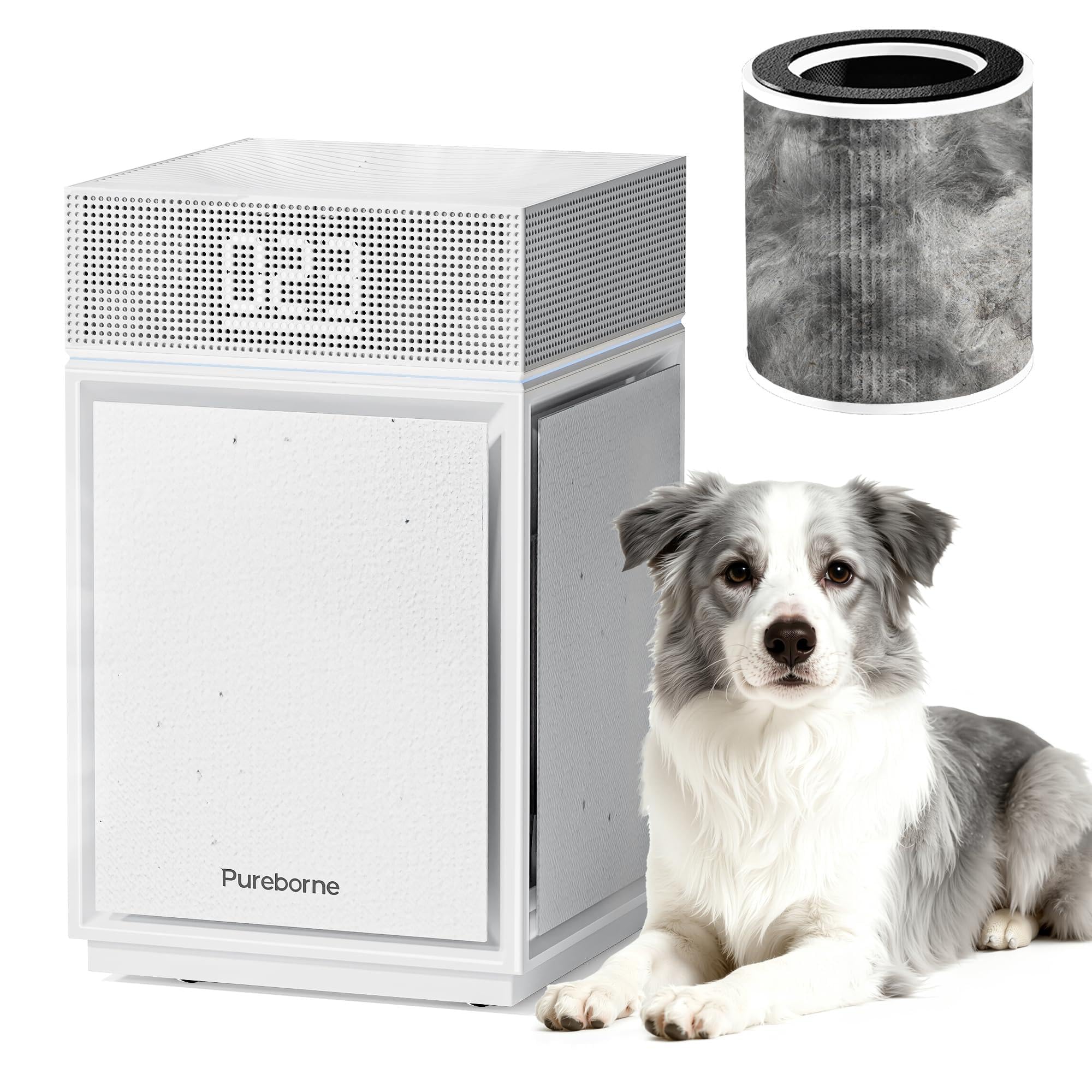 Pureborne PB6866