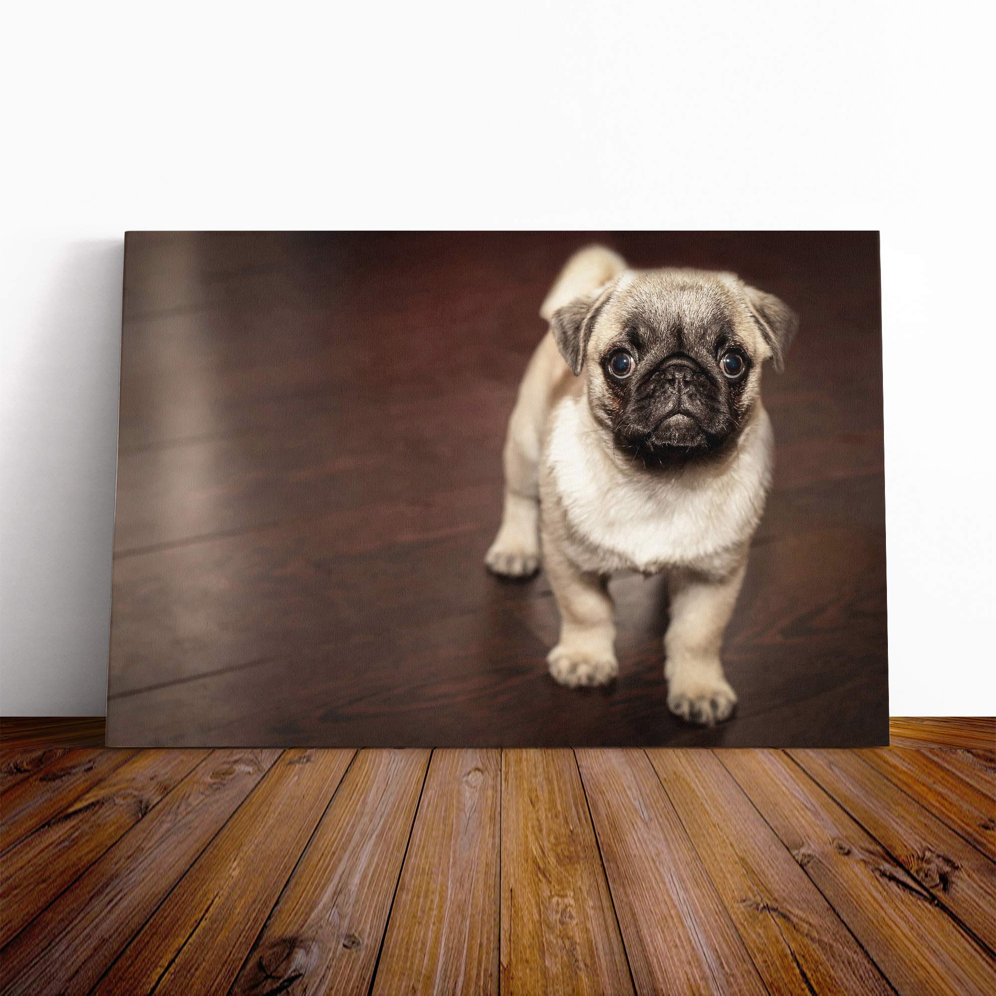 Pug Puppy Dog Canvas Wall Art Print 20x14 Inch