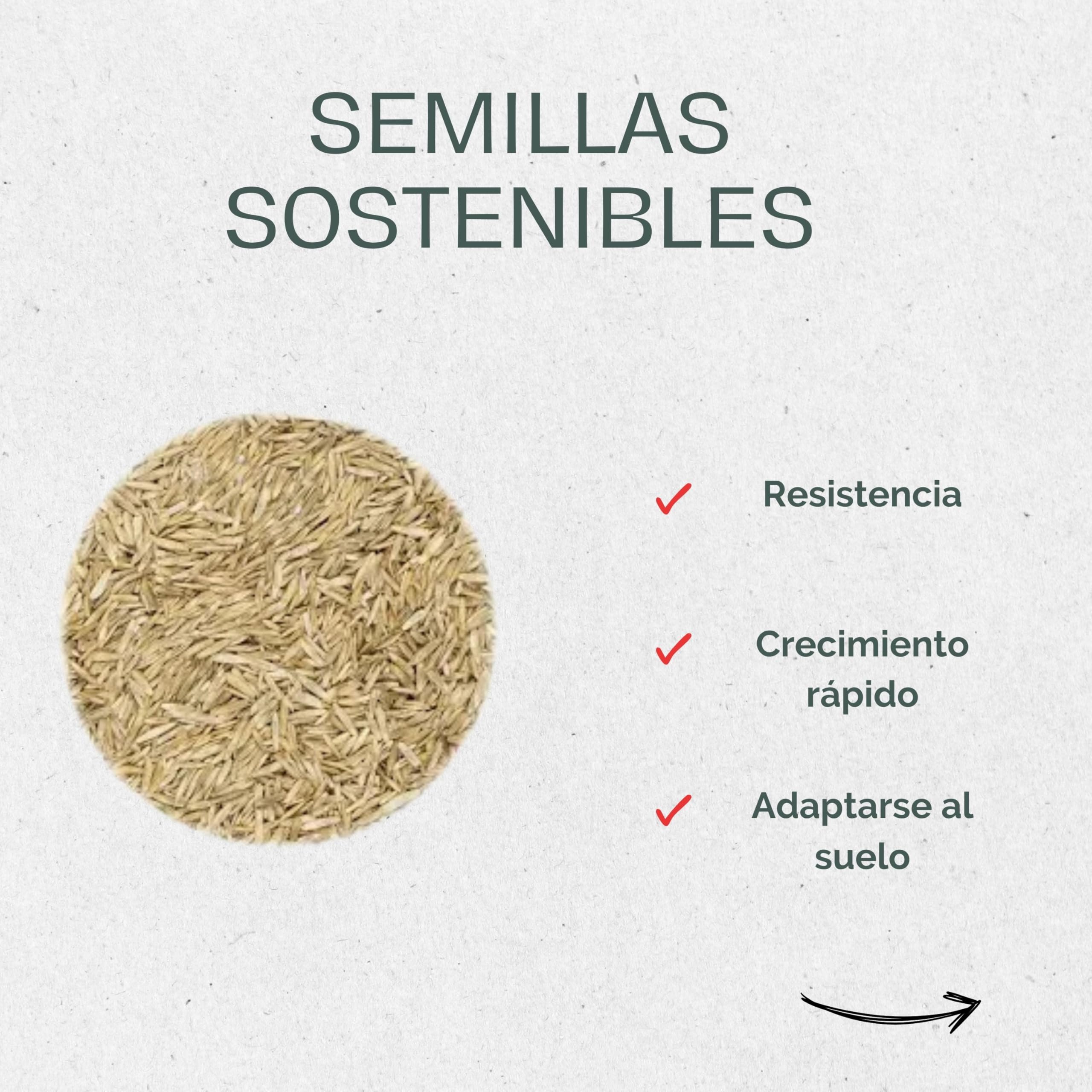 La Plaine Chassart - Semillas para Césped 10KG - Cubre Grandes Superficies con Crecimiento Rápido
