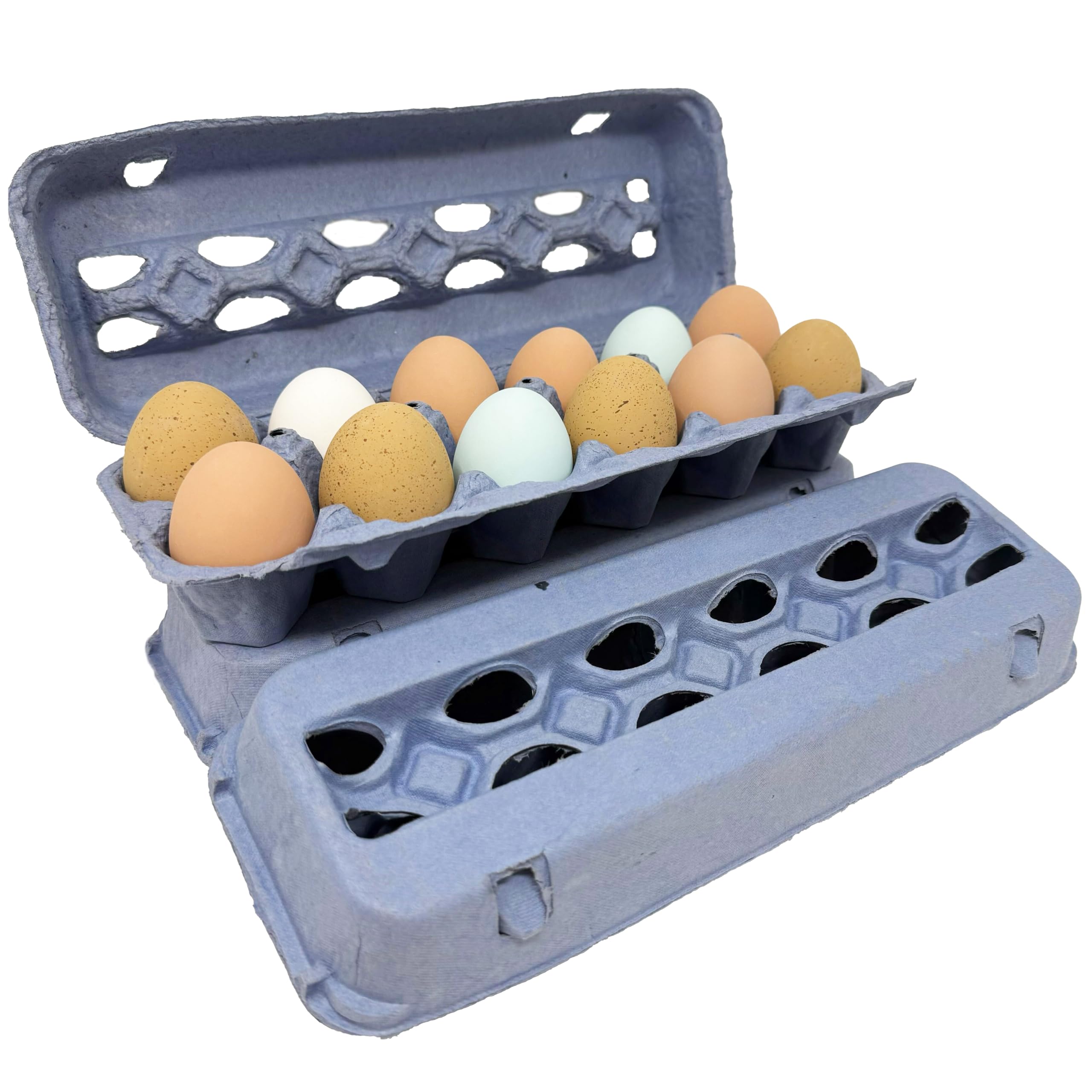 Cajas de huevos de pulpa de papel azul, paquete de 50