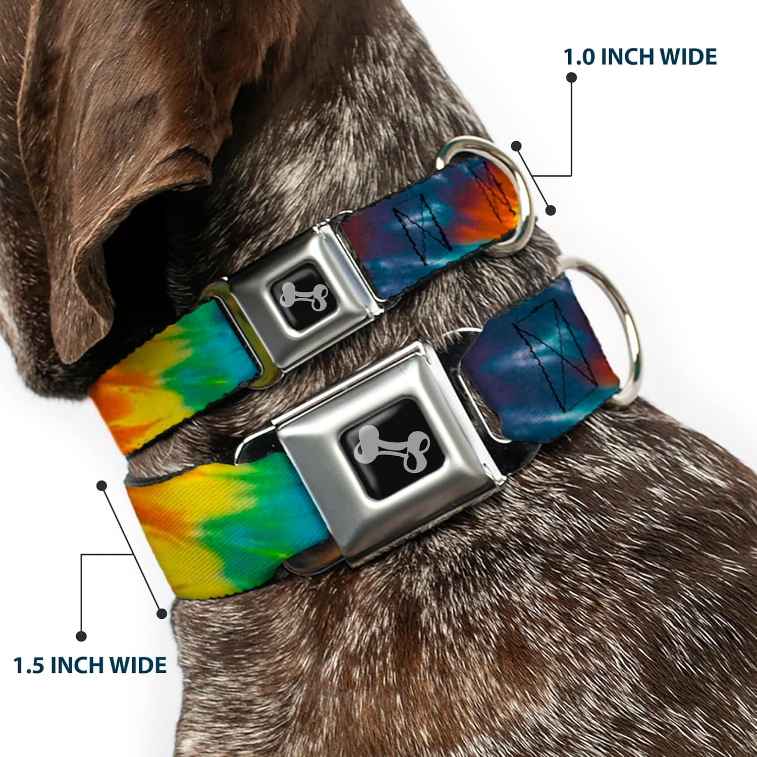 Buckle-Down Dog Collar Seatbelt Buckle Tie Dye Swirl Multi Color, Multicolor, 1" Wide - Fits 11-17" Neck - Medium (DC-W32090-M)