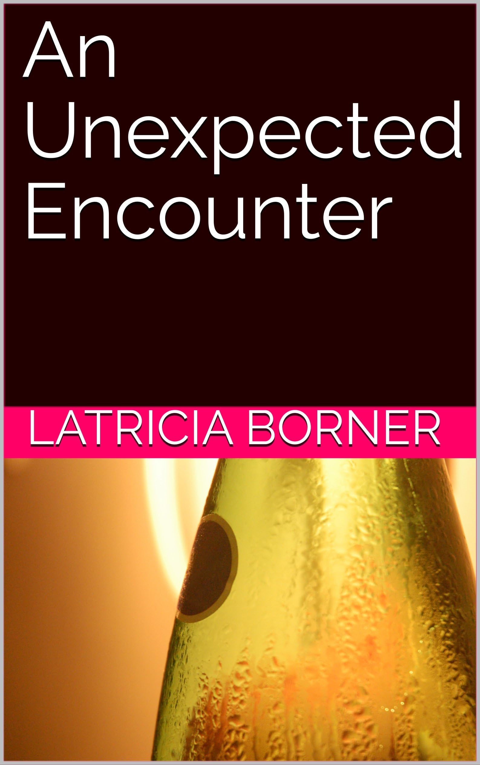 An Unexpected Encounter (The Encounter Series Book 2) Kindle Edition