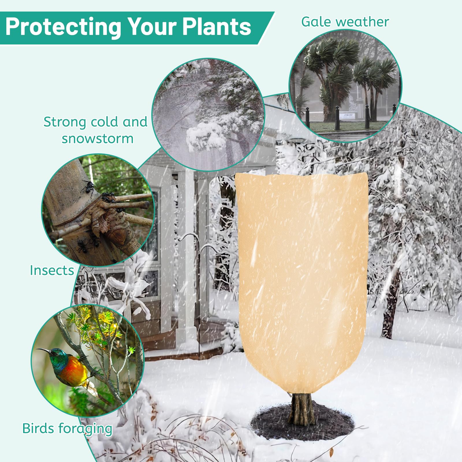 DBREAKS Funda para Plantas 240x200cm, 2 PCS Protección Invernal para Plantas, Bolsa de protección con cordón Cremallera, Cubierta Anticongelante para Maceta, Congelación Tela no Tejida 80 g/m²