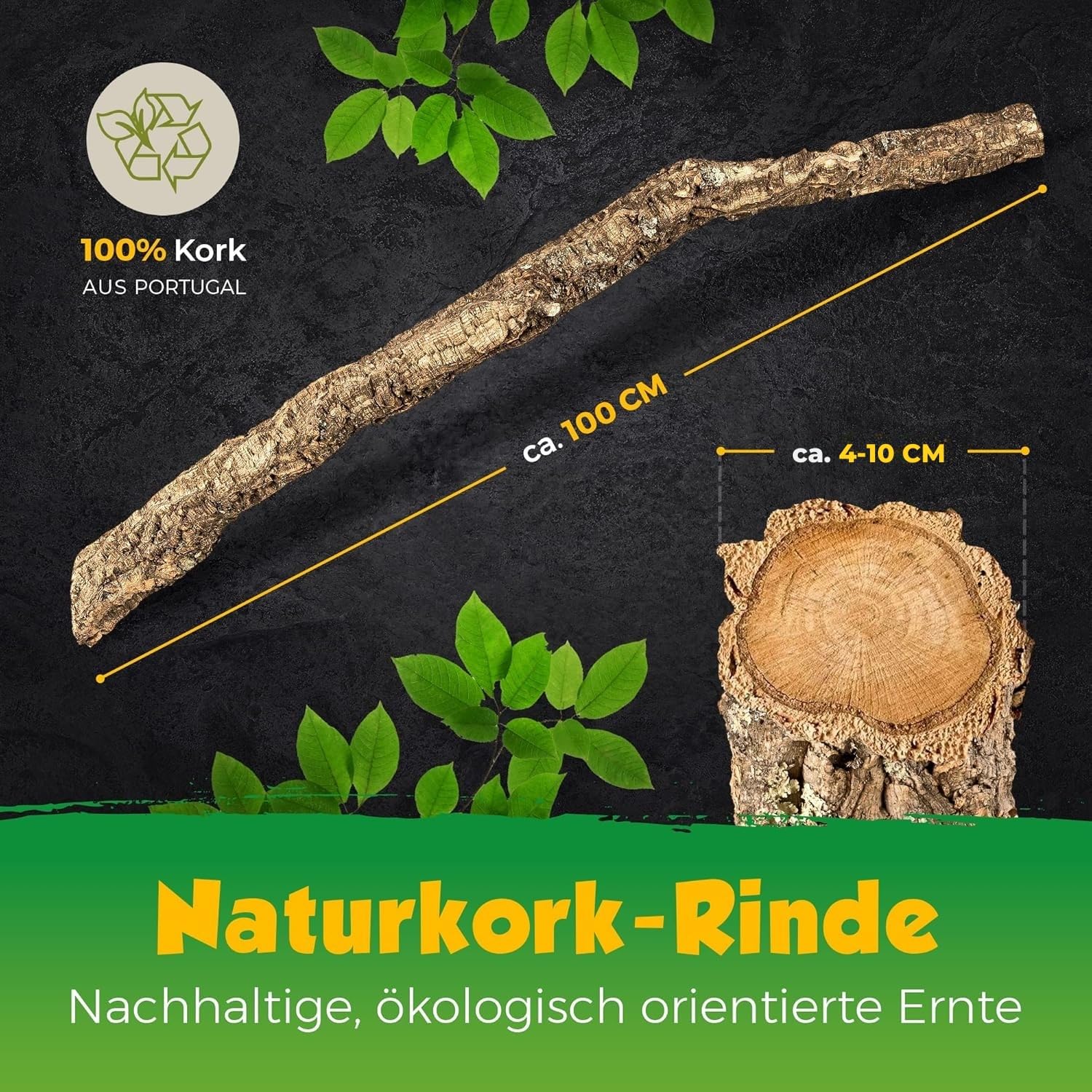 XL Kork-AST | 100 cm lang | AST von der Korkeiche/Korkbaum | Naturkork-Rinde als Terrariumausstattung | Made in Portugal