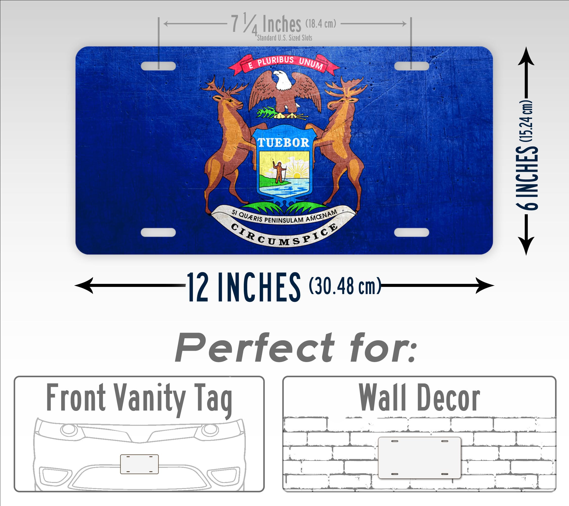 SignsAndTagsOnline Michigan Weathered Metal Flag License Plate Antique MI State Flag Auto Tag