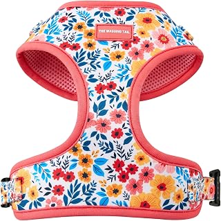 Wagging Tail Premium No Pull Dog Harness - Adjustable, Soft, Cute Dog Vest for Medium, Large & Small Dogs (Floral, Large)
