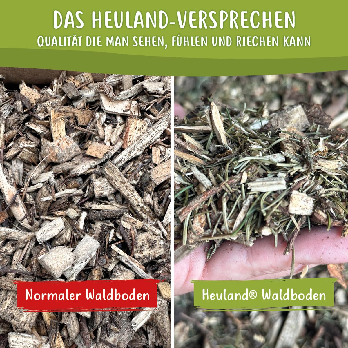 Waldboden-Einstreu 3X 60 L – natürliches Einstreu mit Tannen & Fichtennadeln – extrem saugstark & geruchsbindend – für Kaninchen, Meerschweinchen, Hühner & Nager