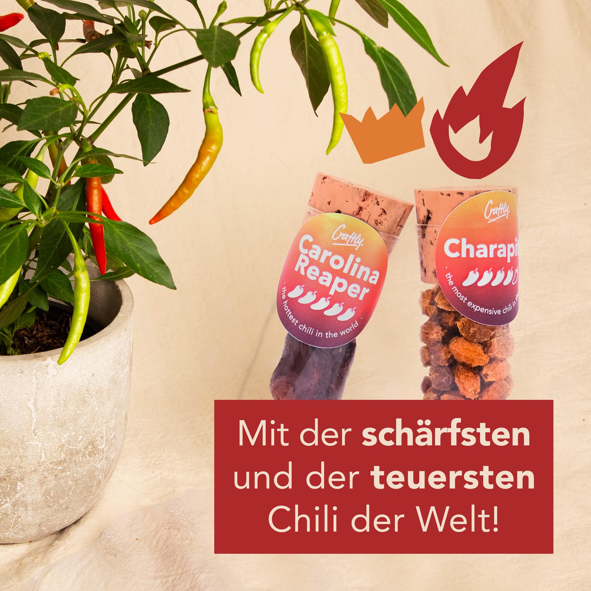 Chili-Set zum Selbermachen | DIY Hot Sauce Set | DIY Set Für Erwachsene | Ancho, Jalapeño, Cayenne, Charapita, Carolina Reaper | Tolles Geschenk-Set für Männer & Frauen