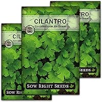 Vista 8 de Sow Right Seeds - Semillas de cilantro para plantar - Paquete de reliquia sin OMG con instrucciones para cultivar un jardín de hierbas de cocina