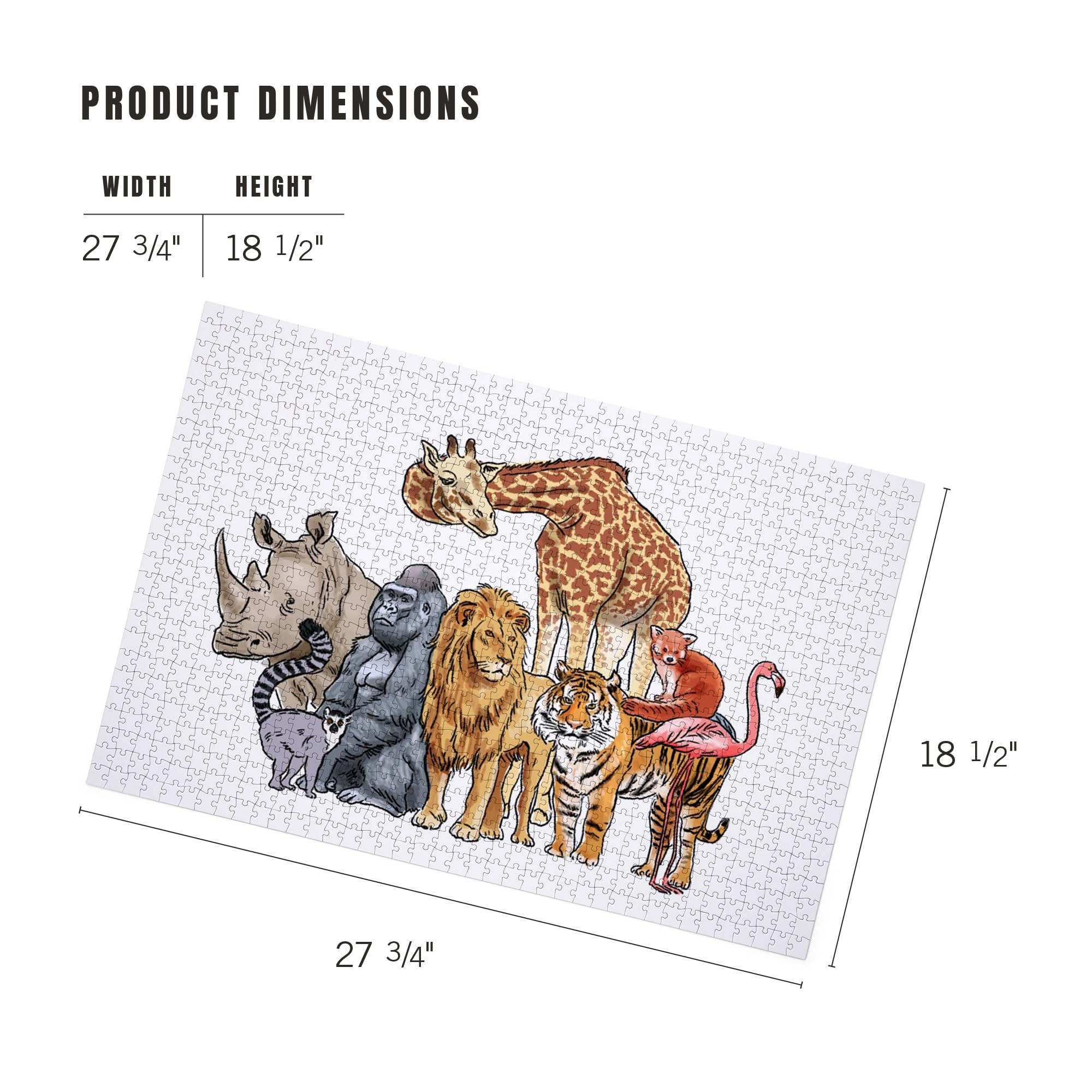 Amazon.com: Zoo Animals, Giraffe, Lion, Tiger, Gorilla