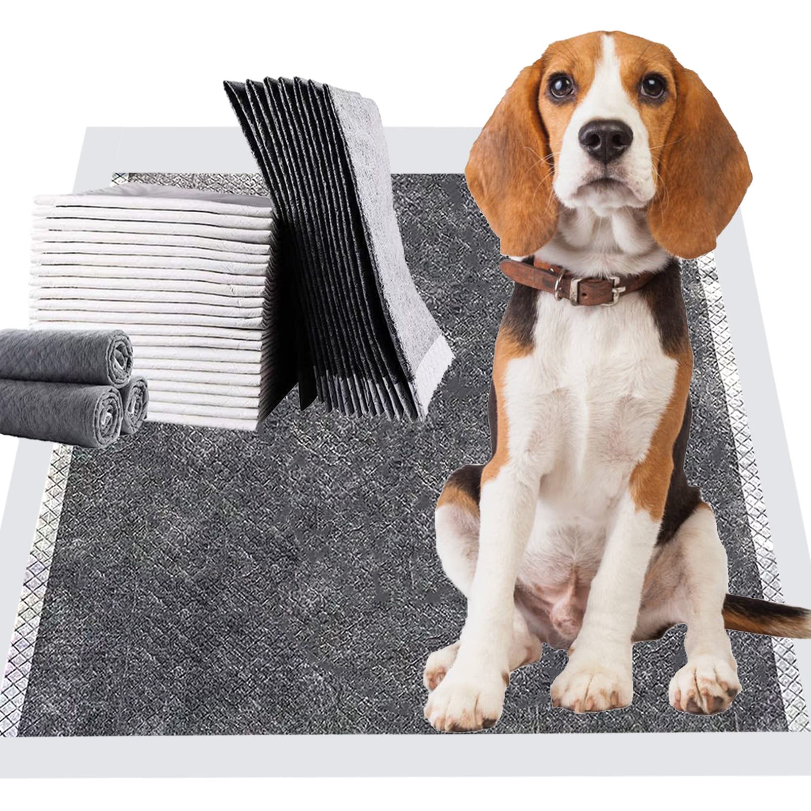 Why Is My Dogs But Leaking