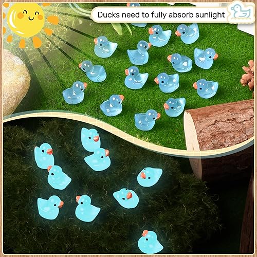 Miniatura 5 de Hoemwarm 200 mini patos luminosos de resina, pequeños patos en miniatura que brillan en la oscuridad, adornos pequeños para decoración del hogar,