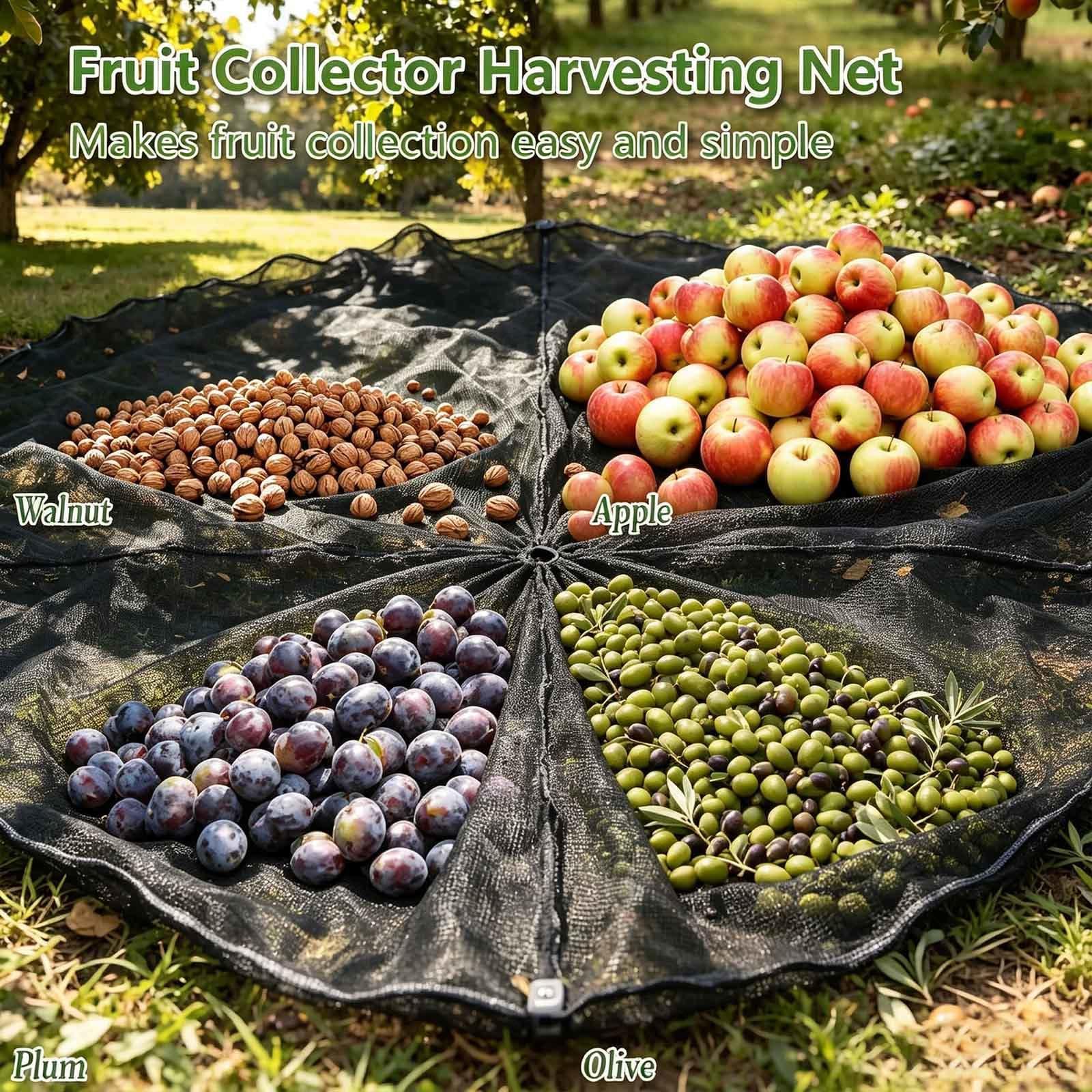 Manto De Aceituna, Resistente y Flexible Red De Recolección De Frutas con Corte Central Telones de Aceitunas, Almendras y Frutales,Round-23×23FT（7 * 7m）