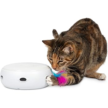 pop n play cat toy amazon