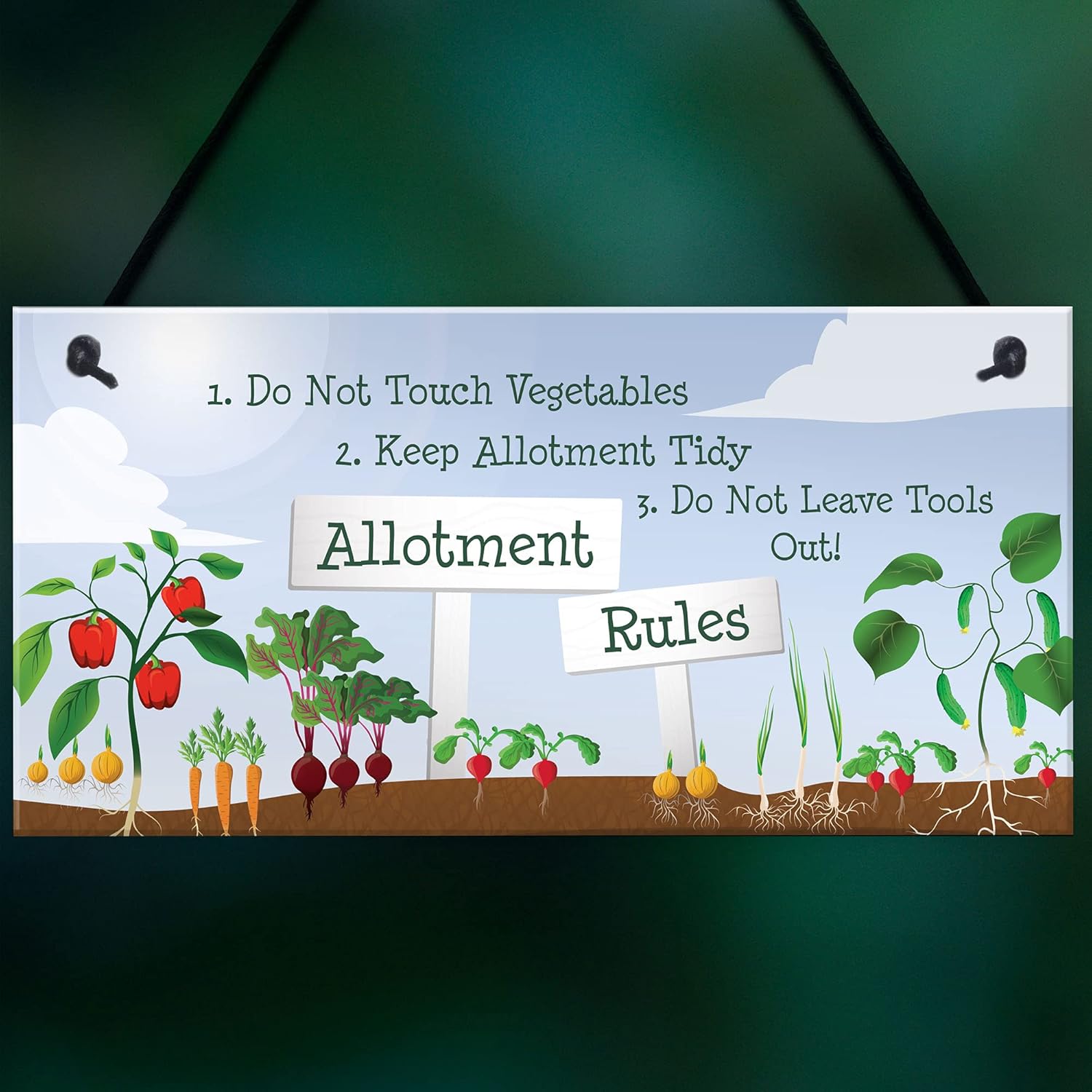 RED OCEAN Allotment Rules Sign Garden Summerhouse Shed Sign Mum Nan Dad Grandad Gift Plaque