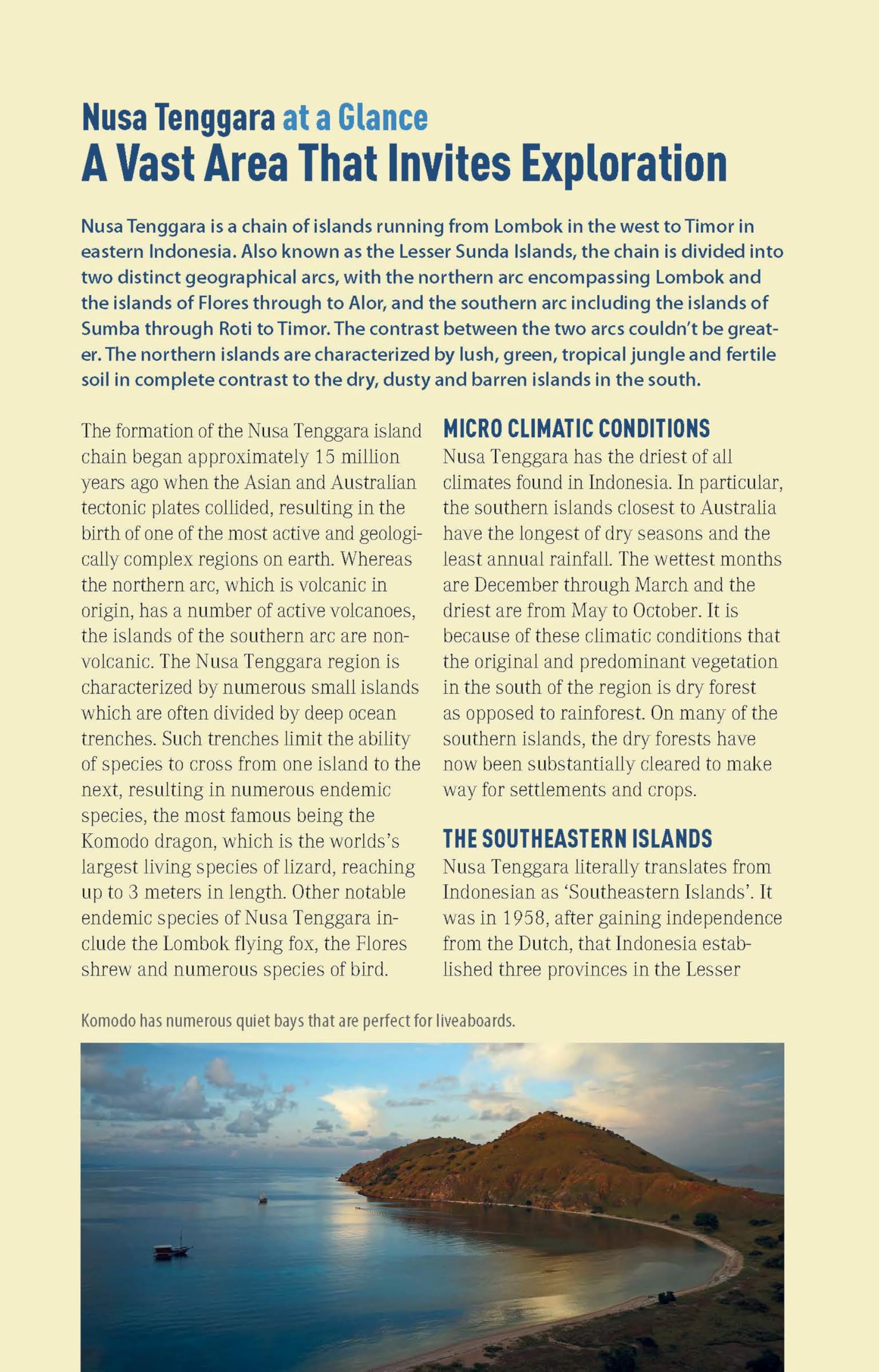 The Ultimate Guide to Diving in Indonesia: Exploring the Tropical Seas with the World's Greatest Marine Biodiversity
