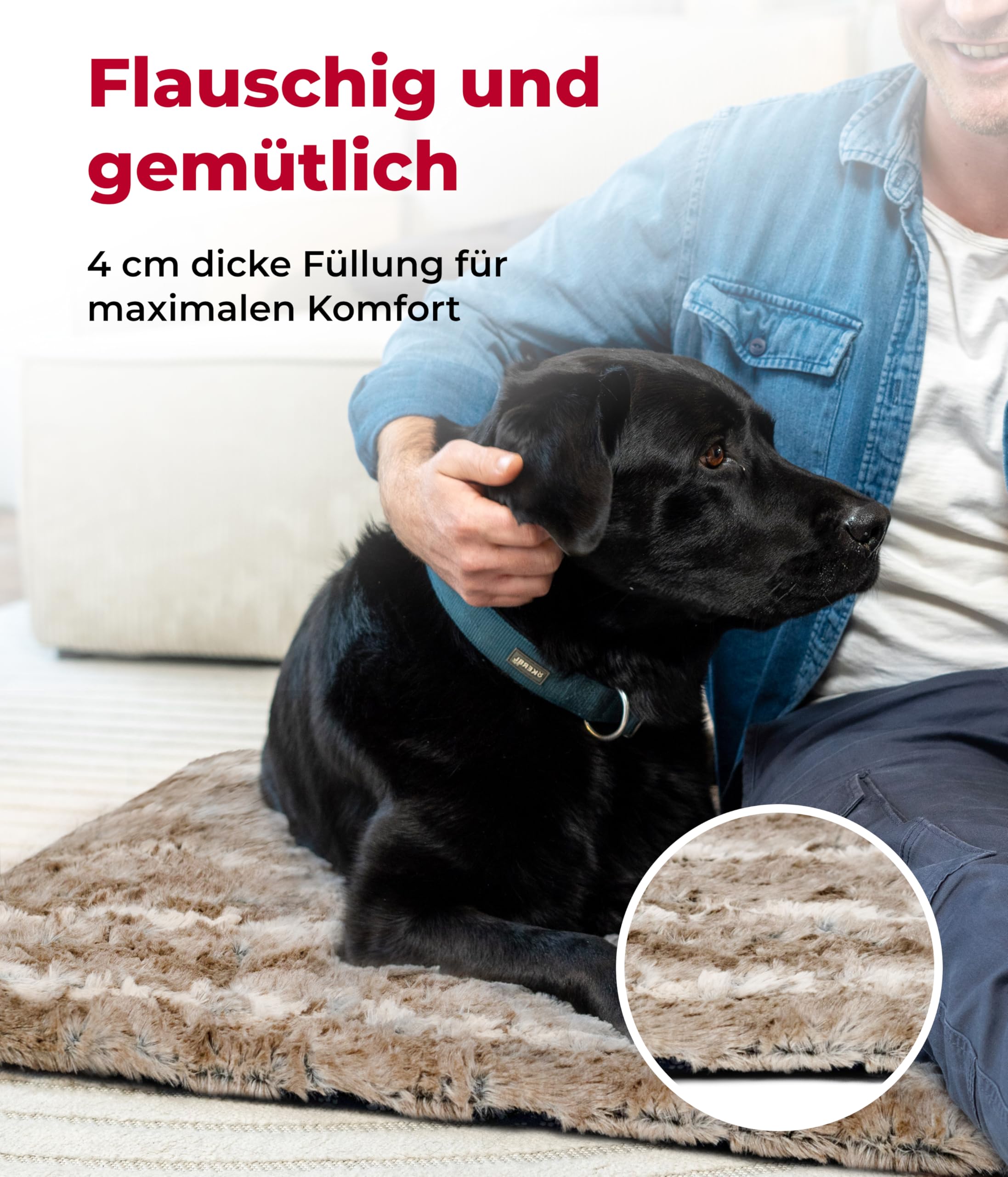 Hundedecke Exklusiv mit Füllung L (75x115 cm) – Gepolstert, Wendbar & Waschbar – Gemütliche Hunde Kuscheldecke – Sand, Made in DE