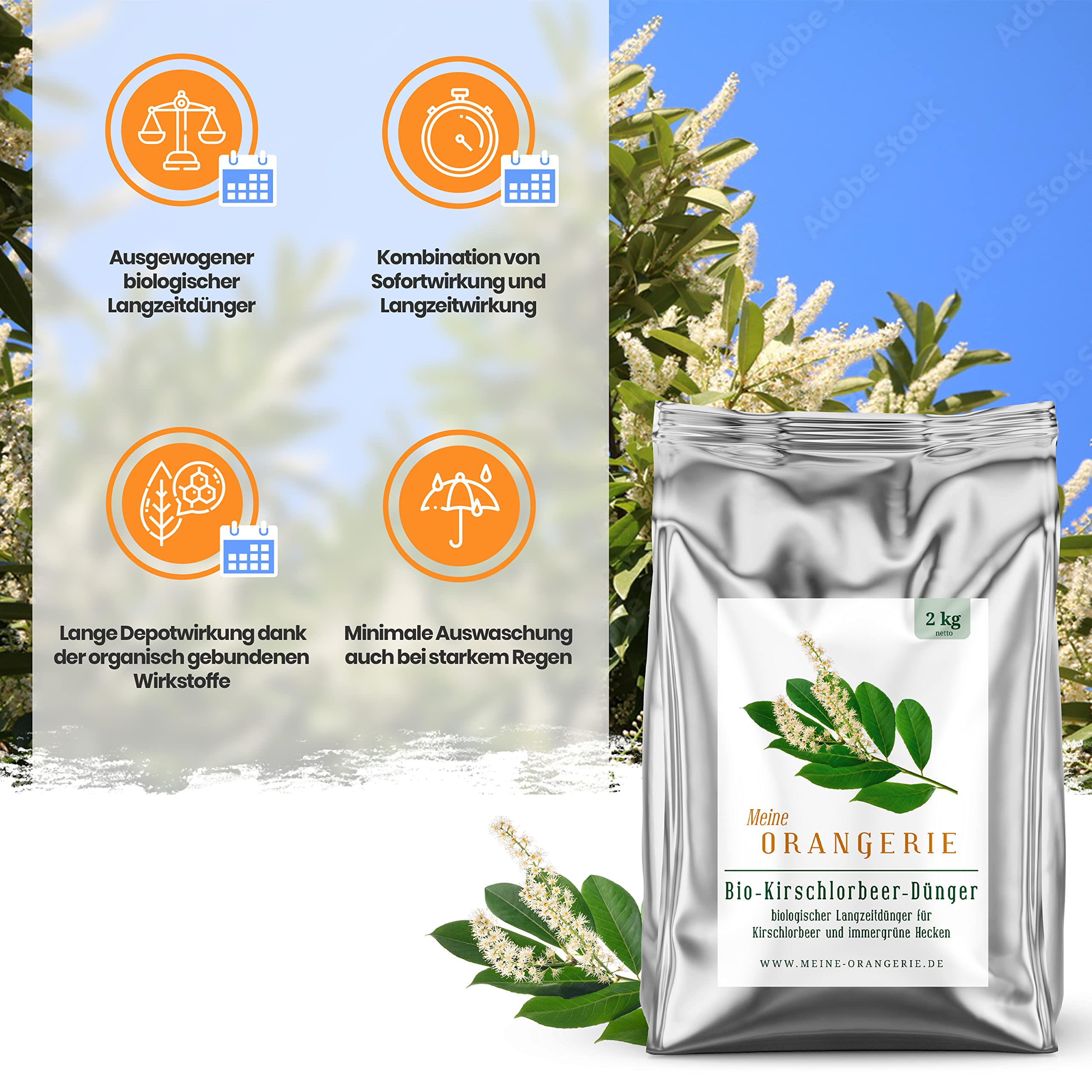 Meine Orangerie BIO Kirschlorbeerdnger - Spezial-Dnger fr Kirschlorbeer  [2kg] - Einfach und sicher ihren Kirschlorbeer dngen - Heckendnger fr  Lorbeerkirsche & portugiesischer Kirschlorbeer : Amazon.de: Garten