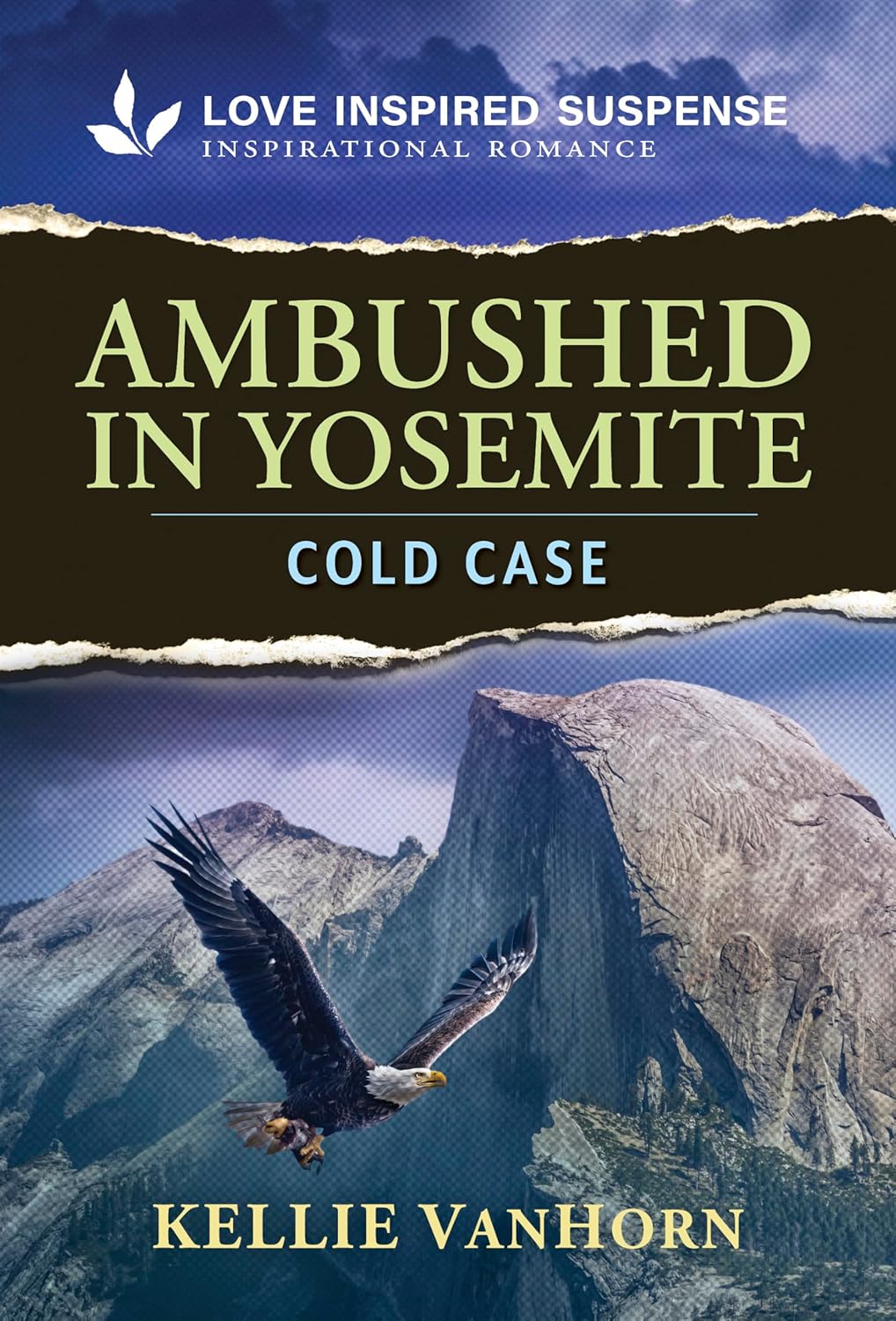 Ambushed in Yosemite (Park Ranger Agents Book 1)