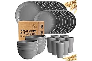 Teivio 8-Piece Plastic Dinnerware Set: Durable, Colorful, and Perfect for Outdoor Dining