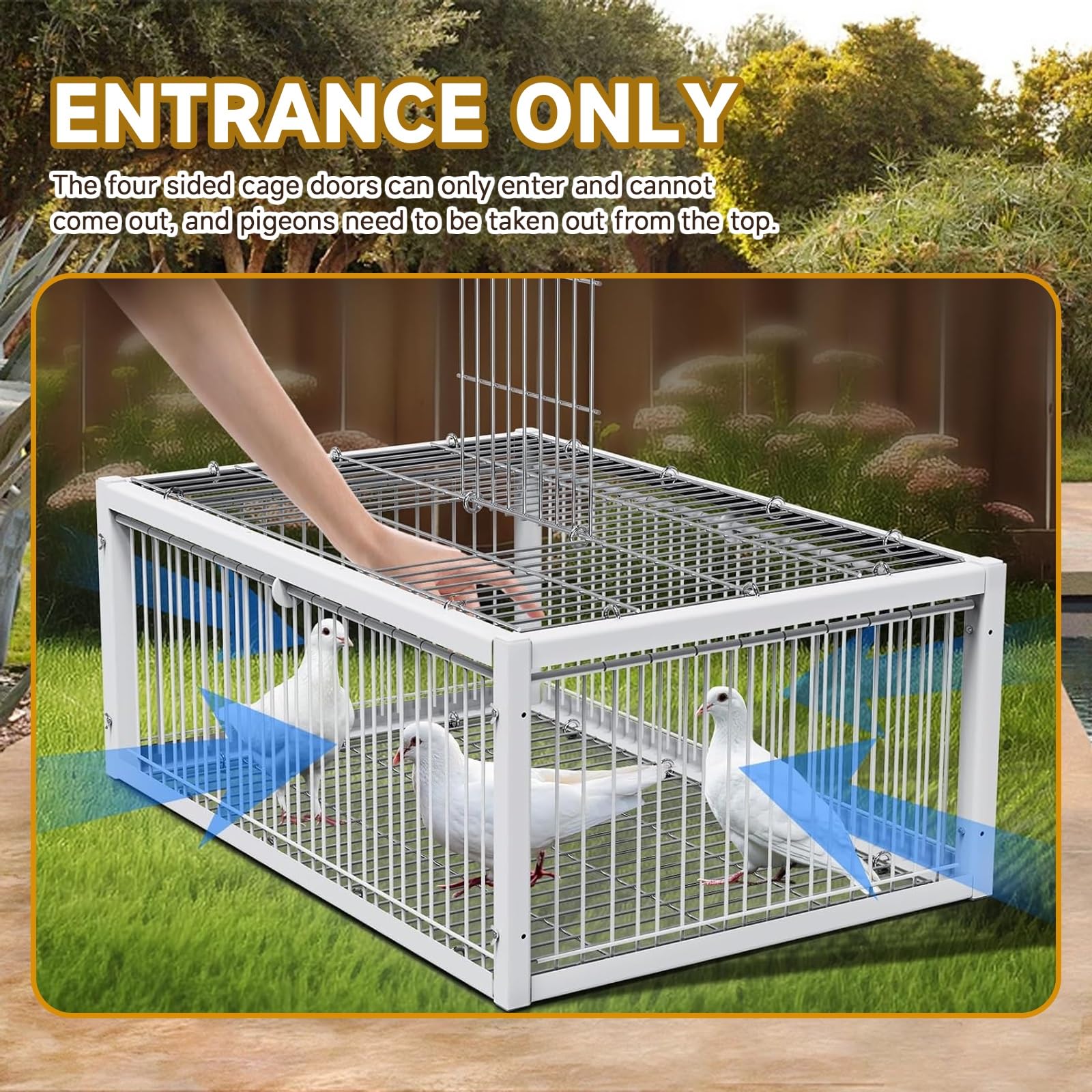 Trampa for pájaros Caza de Paloma, Jaula for Palomas con diseño a Prueba de Escape, Sistema de Encaje automático, fácil de Montar e Instalar.(Black,60 * 40cm)