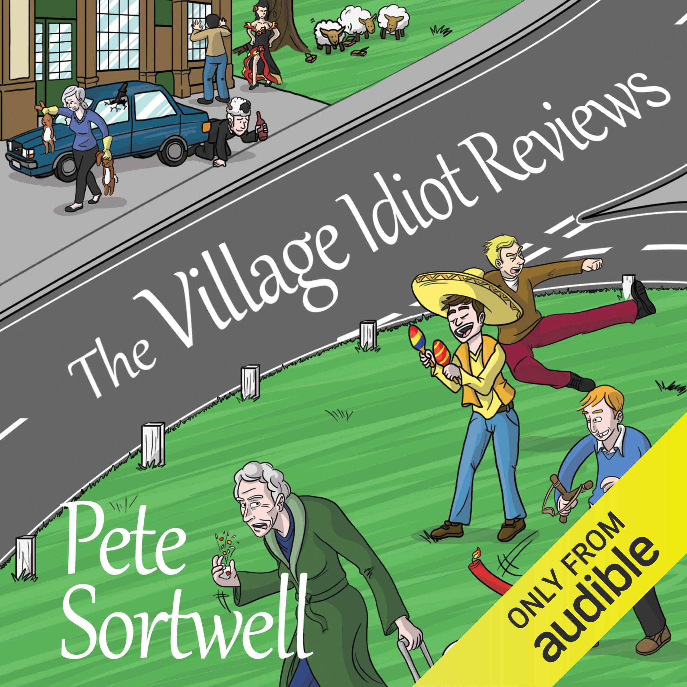 Cover art for The Village Idiot Reviews