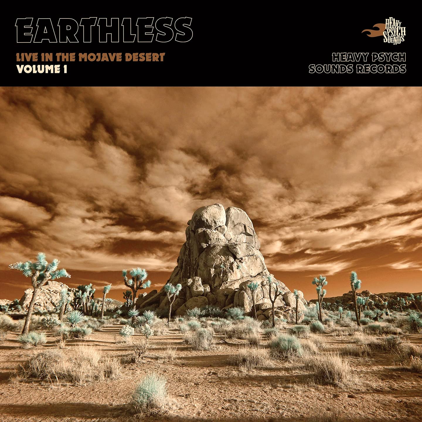 Live In The Mojave Desert [VINYL]